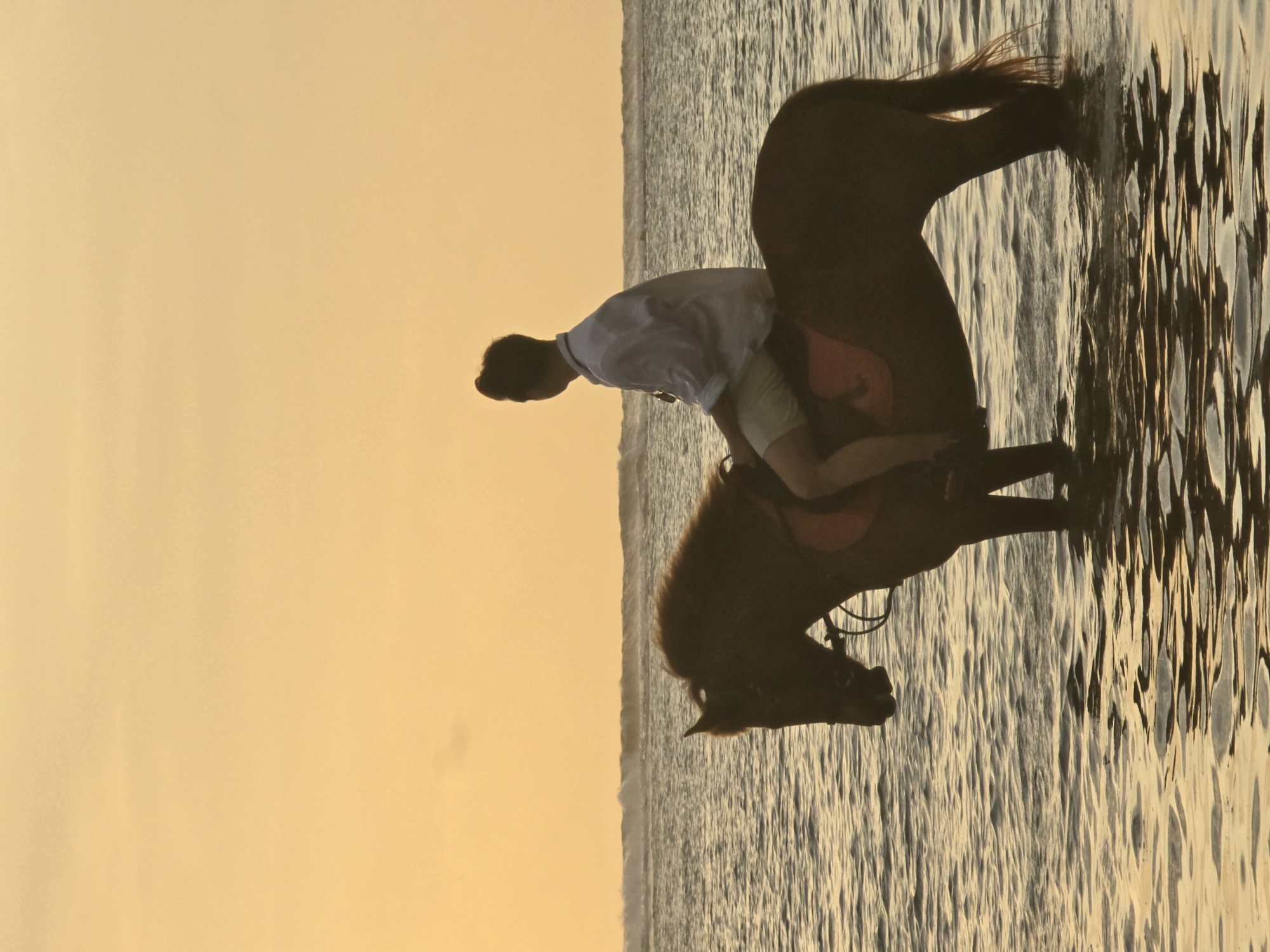 A horse and rider are in the water at an unidentified location in Unknown, Indonesia. The horse is brown, and the rider is wearing a white shirt and light-colored pants. The horse's tail is in the water. The water is reflecting the golden light. The sky is also a pale golden color.