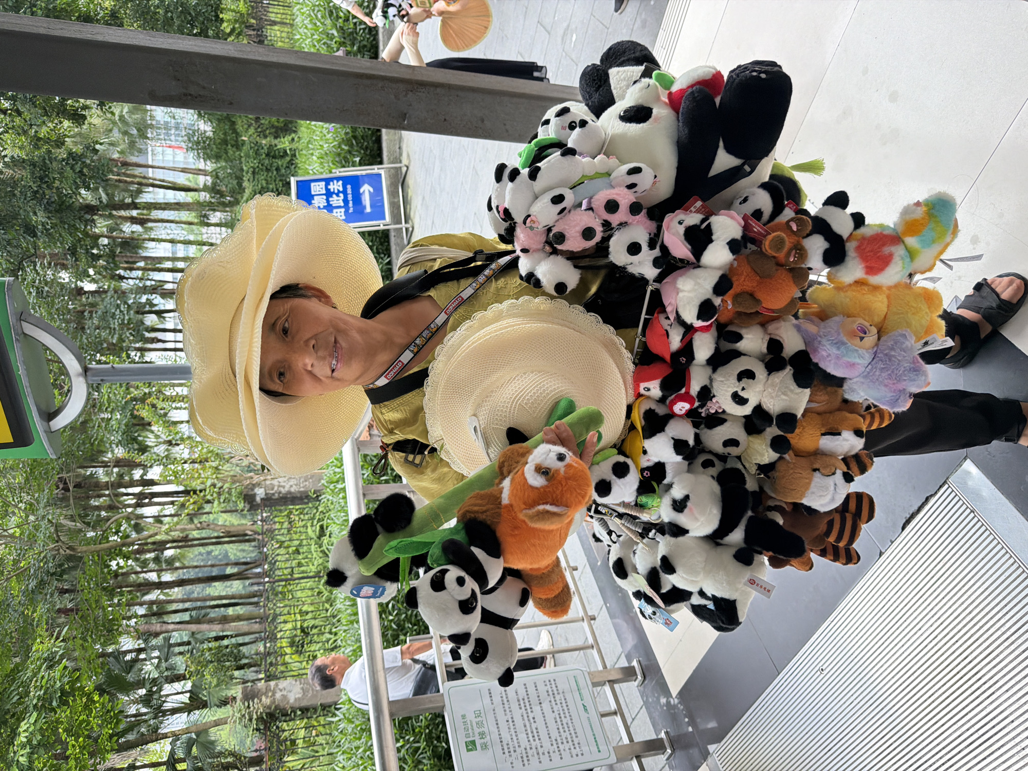 An elderly Asian woman wearing a large, light-yellow straw hat and a yellow shirt stands outside, holding a collection of stuffed animals, predominantly pandas and some other plush toys, suspended from green stalks and wires. She is also wearing a lanyard with a red and white tag. The stuffed animals are arranged in a large cluster around her. In the background, lush green trees and foliage are visible, along with a tall building and a blue directional sign with Chinese characters and an arrow pointing to the right. A metal railing and a sign in Chinese characters are also present in the foreground. The ground is paved with grey and white tiles. Another person, a man in a white shirt, is visible in the middle distance, facing away from the camera. The scene appears to be in an outdoor, possibly tourist area, given the presence of a sign indicating directions.