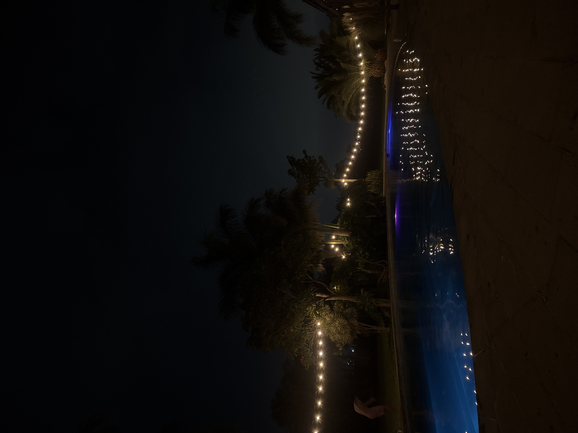 The image displays an outdoor scene at night, characterized by a dark, clear sky and ambient lighting. Along the right edge, a body of water, likely a swimming pool, stretches from the bottom right corner towards the top. The water is a deep blue, reflecting numerous small, bright points of light from above.
String lights, adorned with warm, glowing bulbs, are suspended across the mid-ground of the scene, creating a horizontal line of illumination. These lights are strung amidst the silhouettes of lush trees and palm fronds, which are dark against the night sky and occupy the left and central parts of the frame. The reflections of these string lights are clearly visible on the surface of the pool, adding to the sparkling effect. The pool's edge or surrounding ground is a dark, textured surface, possibly stone or concrete, visible on the right and bottom right.
In the lower-middle section, beneath the string lights and partially obscured by foliage, a faint, light-colored, indistinct shape is visible on the ground, potentially a person. The setting evokes a sense of tranquility and relaxation, possibly a private residence or resort in a tropical climate. The time of day is clearly night, with no visible weather events. No text is visible in the image. The presence of palm trees and general ambiance is consistent with the provided location context of Santa Ana Yancuitlalpan, Mexico.