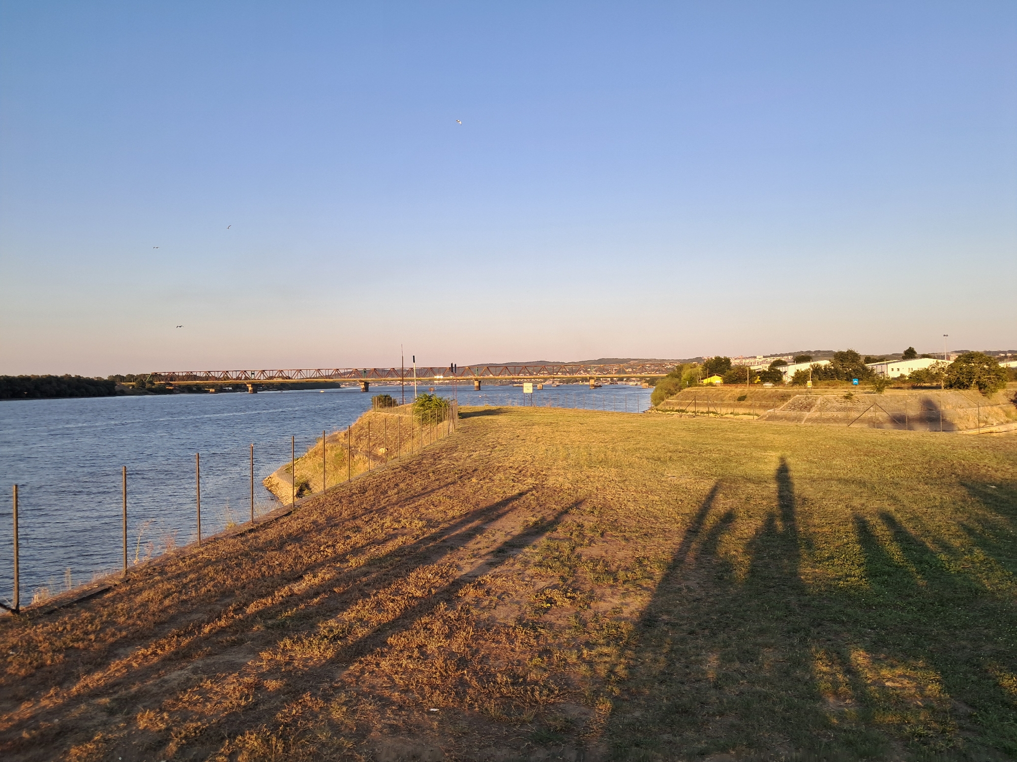 The image depicts a wide river, likely the Sava or Danube, in Belgrade, Serbia, under a clear, pale blue sky. A long, steel truss bridge spans the river in the distance, with buildings and trees visible on the far bank. The foreground is a grassy embankment sloping down towards the water. The sunlight, low in the sky, casts long shadows of a group of people onto the grass, suggesting the photograph was taken in the late afternoon or early evening. The shadows are elongated and somewhat indistinct, but appear to show at least three, possibly four, figures. A simple wire fence runs along the edge of the embankment, separating the grassy area from the riverbank. The overall impression is one of a serene, late-day scene by the water.
