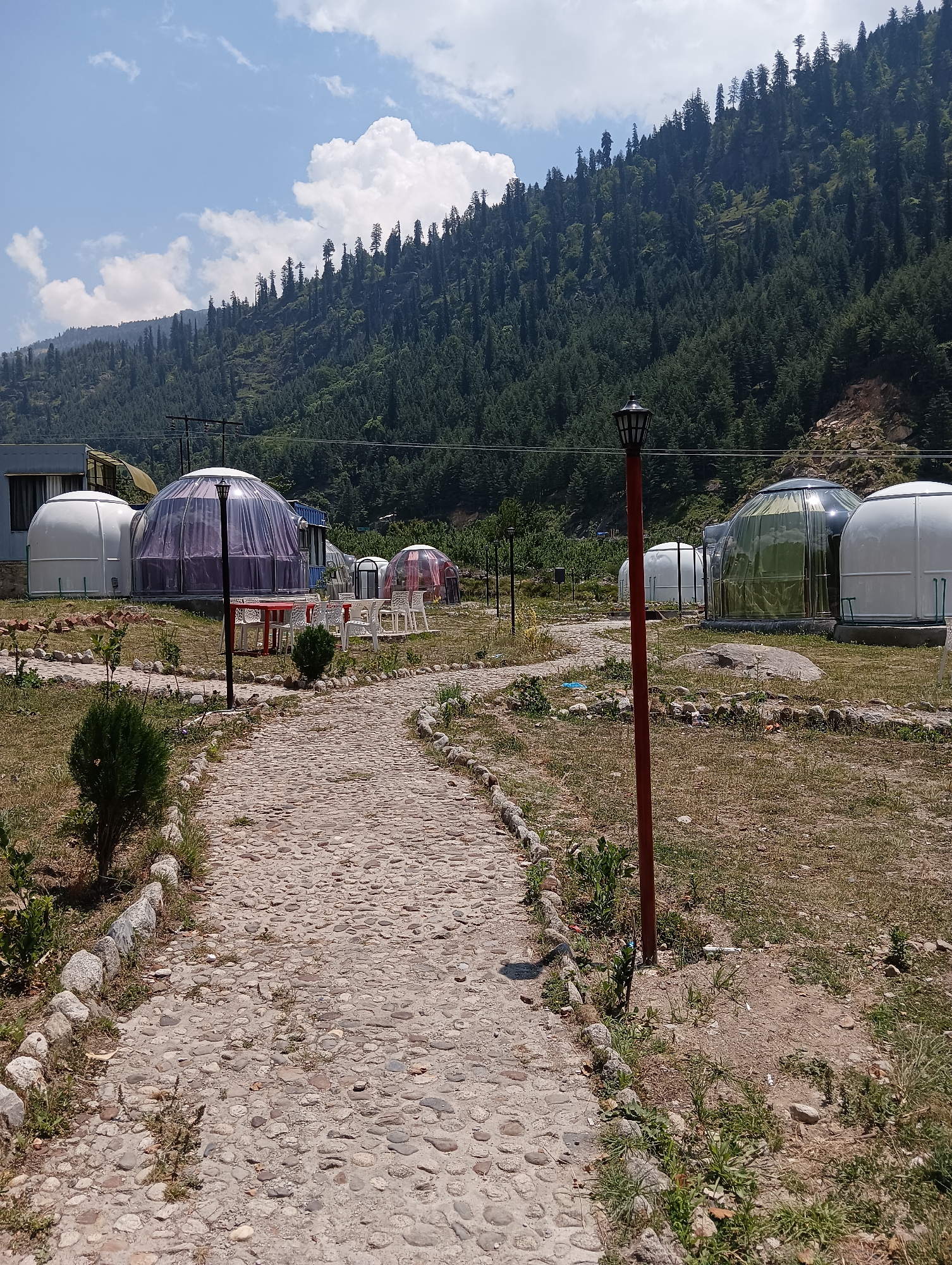 The image depicts a glamping site in Palchan, India, featuring several dome-shaped structures, some of which are translucent and purple, while others are opaque white. A cobblestone path leads through a grassy area dotted with small bushes and bordered by rocks. In the background, a densely forested mountainside rises under a partly cloudy blue sky. A red lamppost stands near the path, and in the middle distance, there are white tables and chairs set up outside one of the dome structures. The scene appears to be a tranquil retreat within a natural, mountainous landscape.