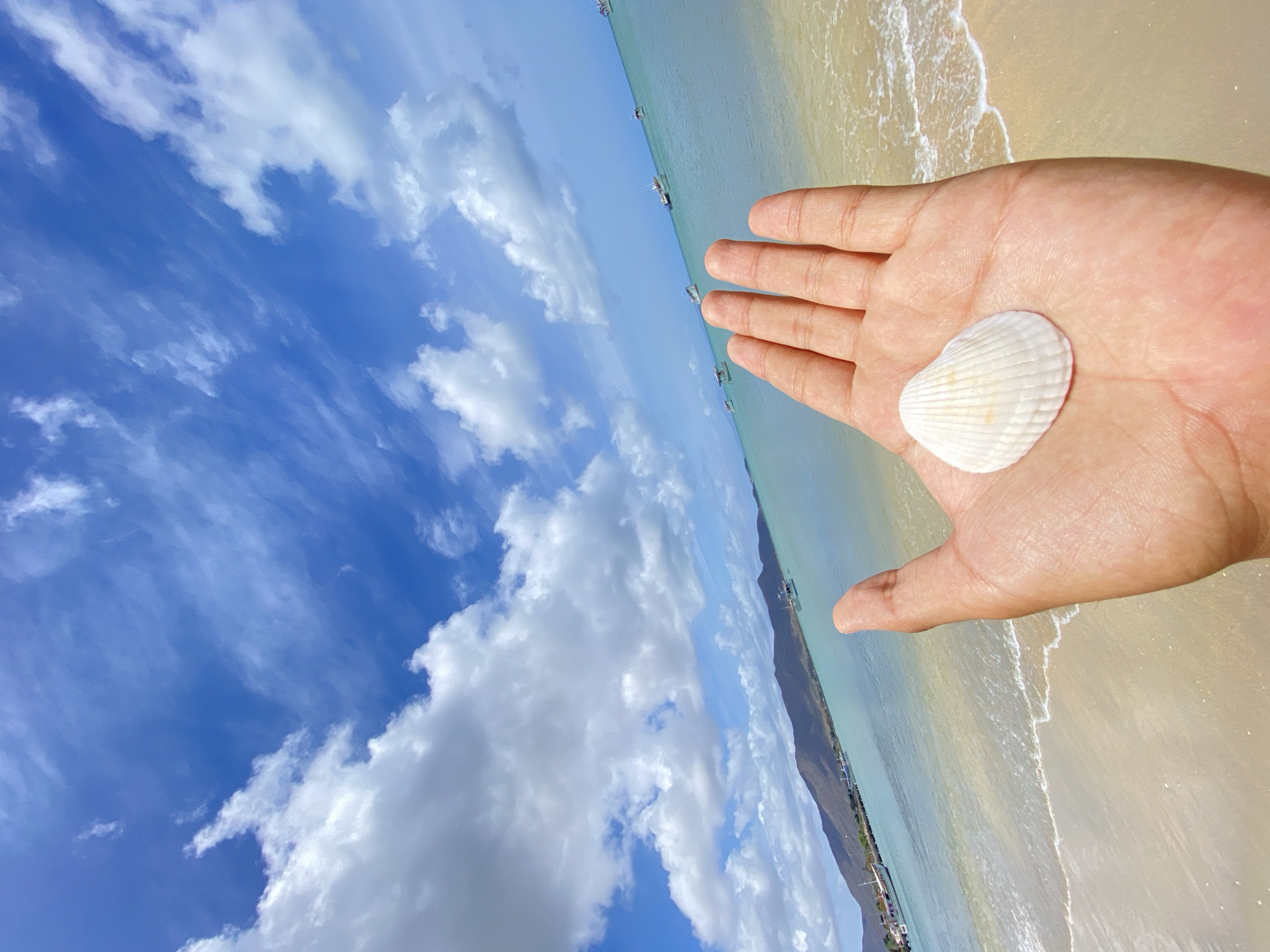 The image shows a sunlit beach scene in Juan Griego, Venezuela. A person's hand holds a white seashell in the foreground. The beach, with gentle waves, extends to the right. In the distance, there are several boats in the water, and a coastline with buildings. The sky, filled with clouds, and is above the beach.