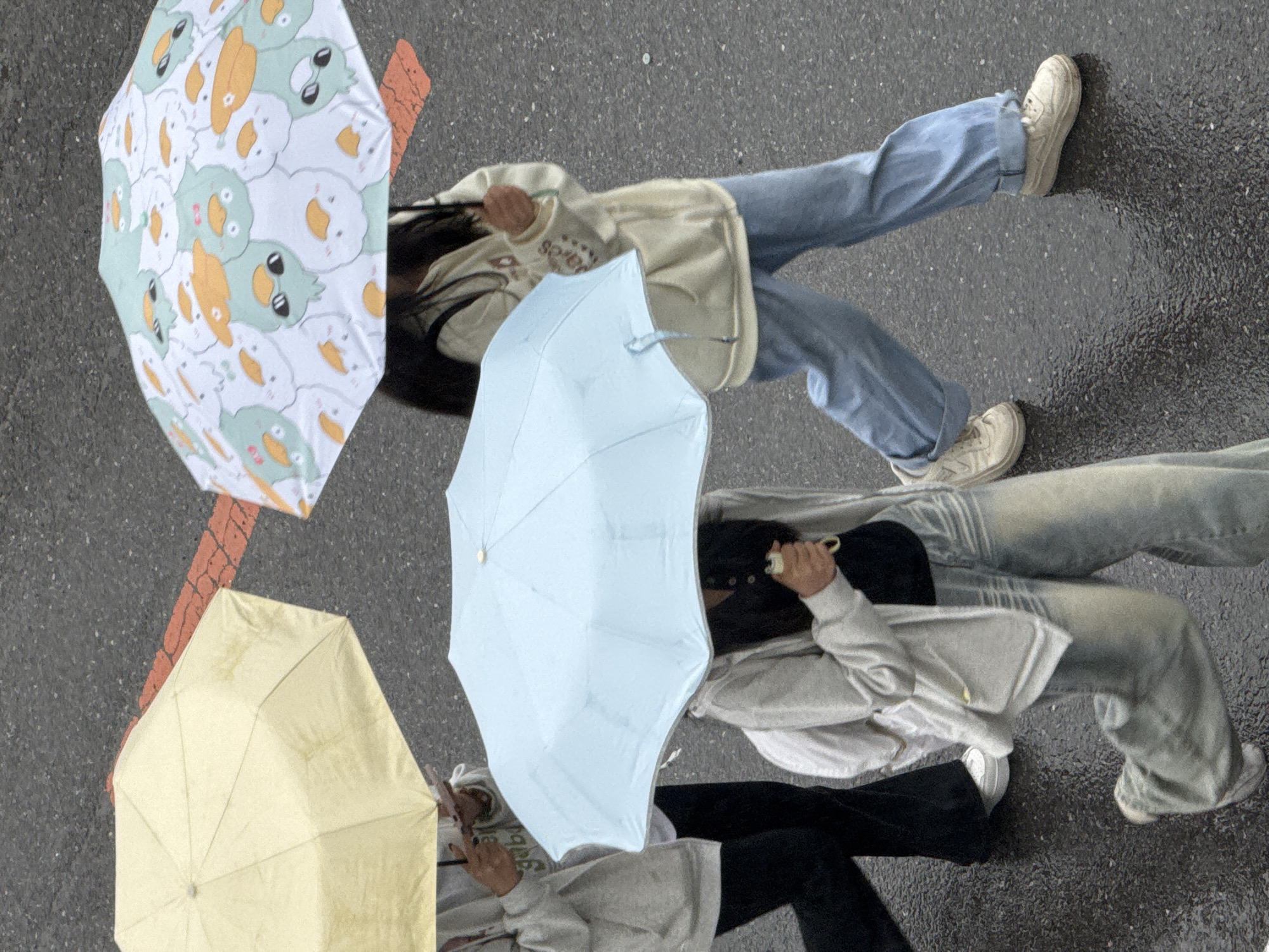 Three individuals are walking on a wet asphalt surface marked with orange lane lines. Each person is holding an umbrella. The umbrellas are white with duck patterns, light blue, and yellow. The individuals are wearing light-colored tops and various shades of denim or black pants. All are wearing white shoes. The location is Zhongtun, China, based on the information provided.