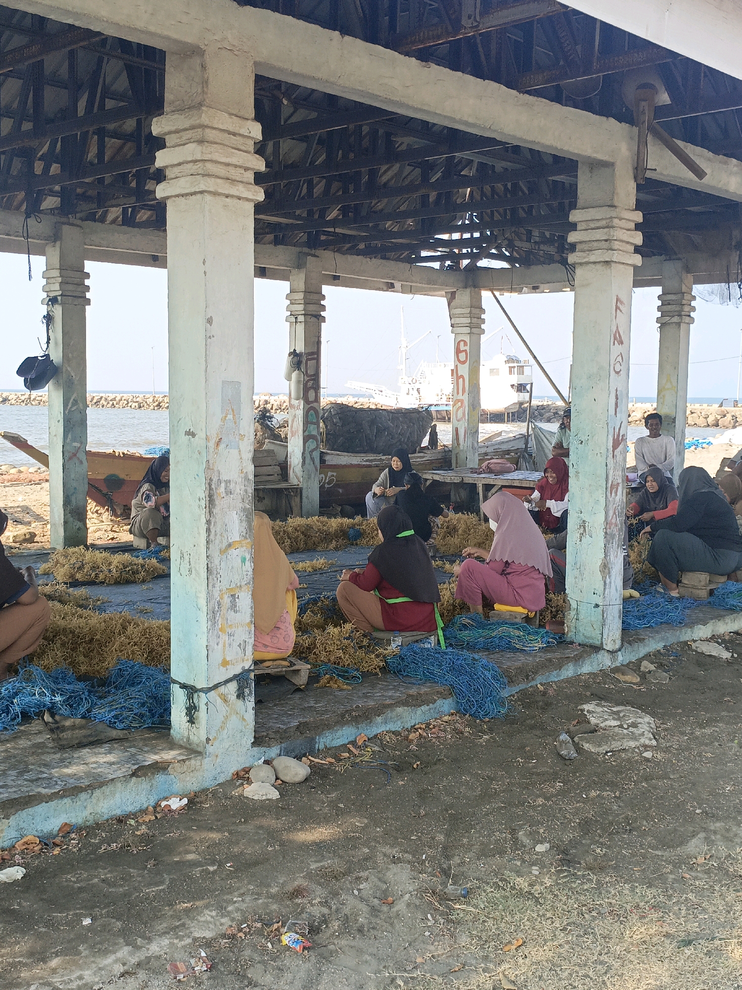 In Bulukumba, Indonesia, an open-air shelter with concrete pillars and a tin roof structure provides shade for a group of people engaged in a sea-farming related activity. The shelter is situated by the sea, with a rocky shoreline and a calm body of water visible in the background. Several boats are docked nearby, including a prominent wooden boat with a faded orange hull. The ground is a mixture of dirt and concrete, with piles of what appears to be seaweed or sea grass spread out on blue nets.
A total of ten individuals are present, all appearing to be women, dressed in modest clothing and headscarves, with the exception of two men standing in the background. The women are seated on the ground or on small wooden pallets, actively sorting and processing the seaweed. Some are interacting with each other, while others are focused on their tasks. One woman in the foreground, wearing a pink headscarf and maroon top, is holding a handful of seaweed. To her right, another woman in a green headscarf is also working with the seaweed. In the background, two men stand, one wearing a light-colored shirt and the other a dark t-shirt. The overall atmosphere suggests a communal work environment, likely a processing or drying area for marine produce. The shelter's pillars are decorated with graffiti, adding a touch of local artistry to the utilitarian structure.