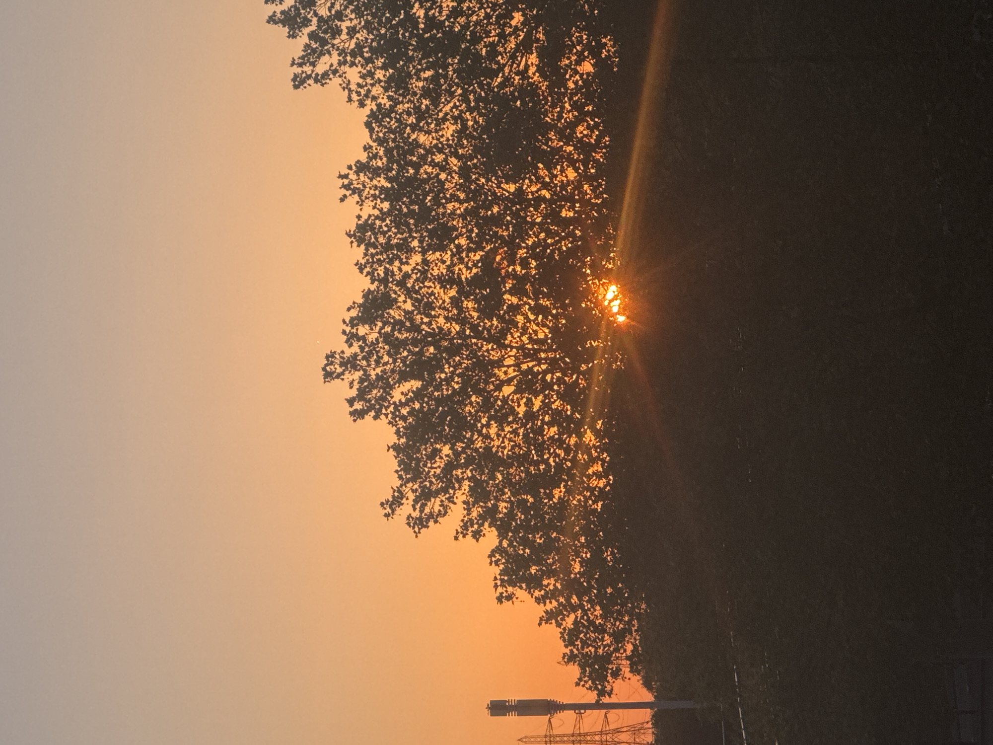 The image captures an outdoor scene at either sunrise or sunset, dominated by warm, radiant light. The left side of the frame features an expansive sky, which graduates in color from a pale orange-yellow at the top to a deeper, more saturated orange towards the center.
A dense mass of tree foliage, rendered in dark silhouette, occupies the right half of the photograph, stretching from the top to the bottom edge. The intricate details of branches and leaves are visible against the bright background. The sun is partially visible towards the center-right, peeking through the tree canopy and emitting intense, golden rays that create a starburst effect. This strong backlighting causes the trees to appear almost black, forming a striking contrast with the luminous sky.
At the very bottom right, faint silhouettes of metallic structures are discernible, possibly hinting at a pylon or part of an industrial antenna. The scene is static, devoid of any discernible activity or people. The notable details are the dramatic backlighting, the warm color palette of the sky, and the crisp silhouettes of the natural and man-made elements. The lighting strongly suggests either dawn or dusk. There is no visible text in the image.