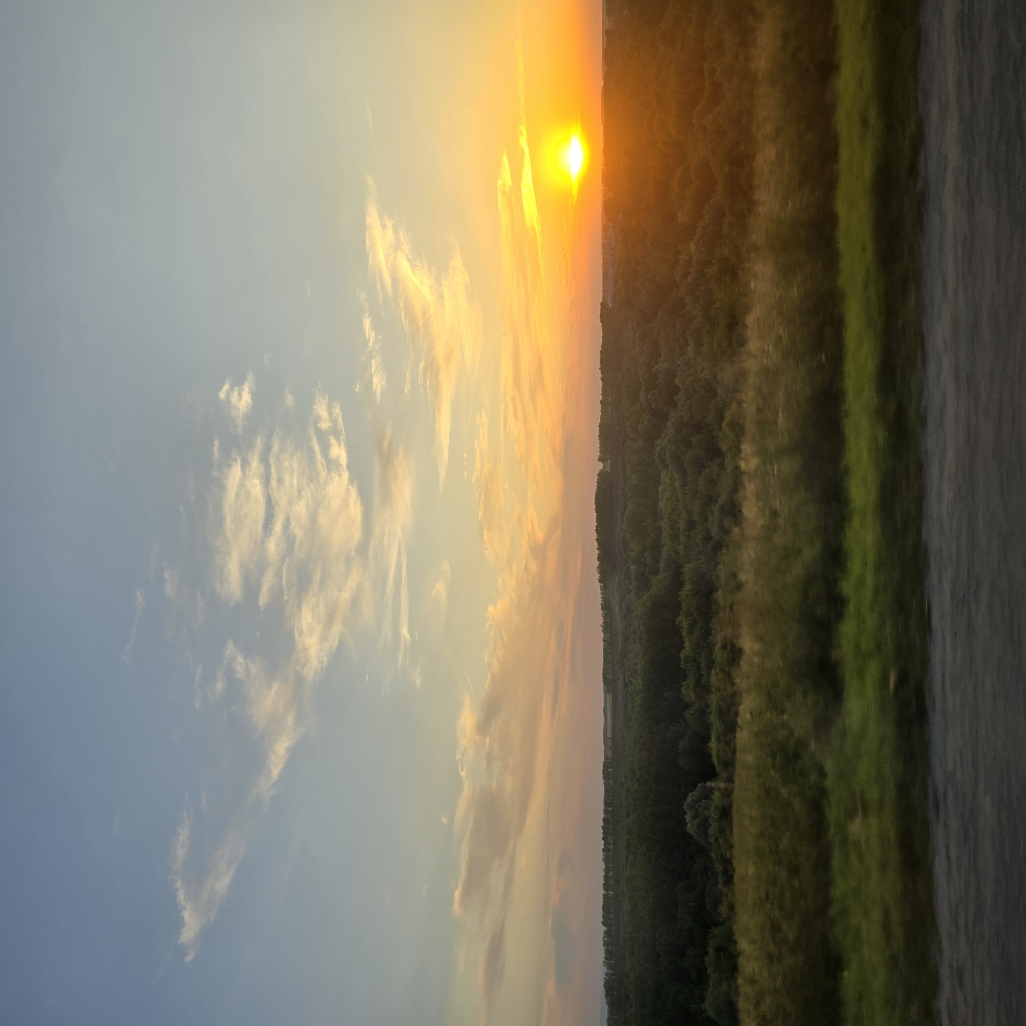 This is a landscape photograph taken at sunset in the vicinity of Tochlinoye, Russia. The scene features a vast expanse of trees, forming a dense forest that stretches across the horizon. Above the tree line, the sky is ablaze with the warm hues of a sunset, transitioning from deep orange near the sun to softer yellows and pinks, eventually fading into a pale blue at the top of the frame. Wispy clouds are scattered across the sky, catching the sunlight and adding texture. In the foreground, a blurry strip of green grass and a dark, textured surface that appears to be a road or ground are visible, suggesting the photo was taken from a moving vehicle. The sun is a bright, intense orb positioned on the right side of the frame, casting a warm glow over the landscape and creating lens flare. The overall impression is one of natural beauty during the golden hour.