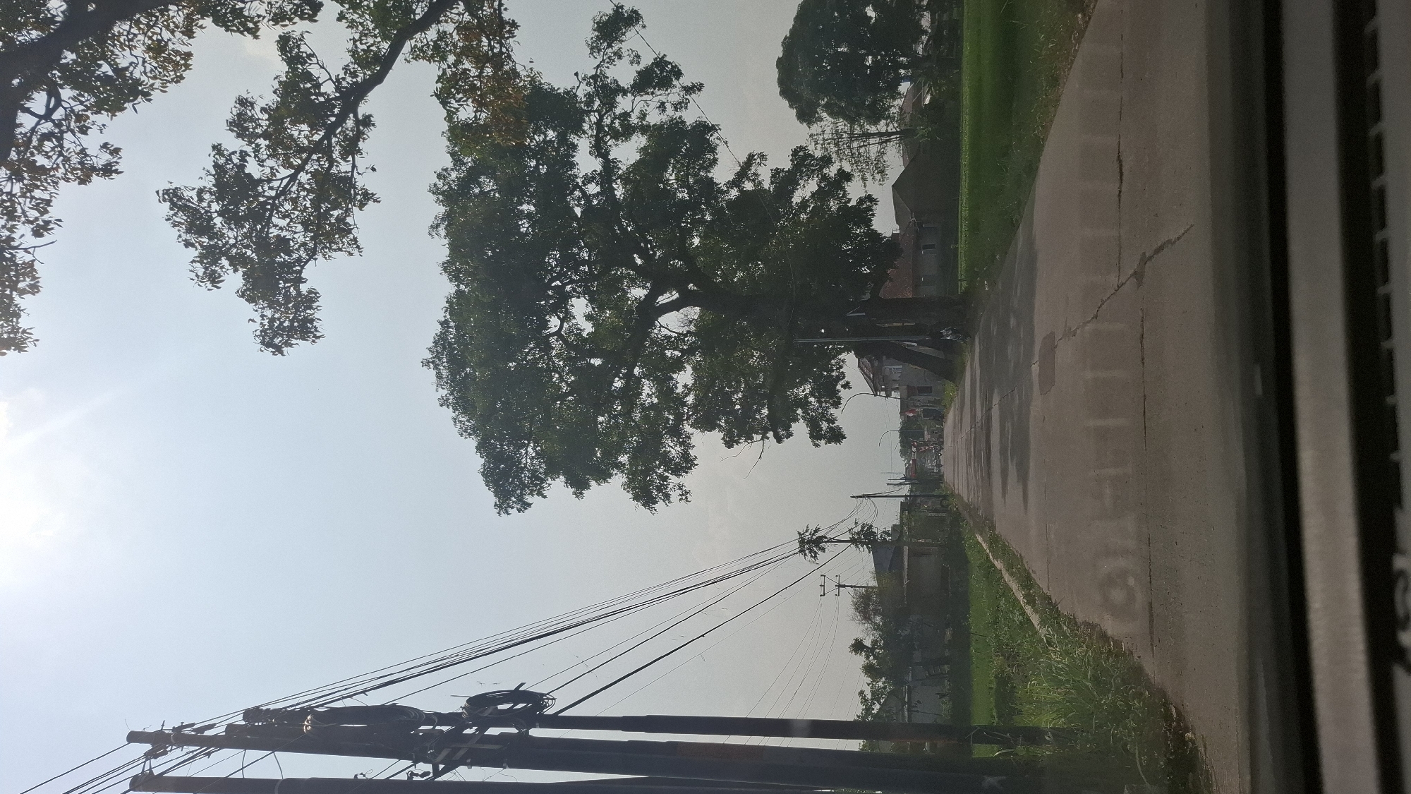 A straight, paved road stretches into the distance, lined with power poles and utility wires on the left, and trees and houses on the right. The sky is overcast with the sun appearing as a bright spot. A large, mature tree with dense foliage stands prominently on the right side of the road, casting a shadow. The road surface shows signs of wear, with cracks visible. Green fields and vegetation border the road on both sides, suggesting a rural or semi-rural setting. Buildings, appearing to be homes, are visible in the background. The perspective suggests the photo was taken from a vehicle. The environment is characterized by a bright, hazy day.