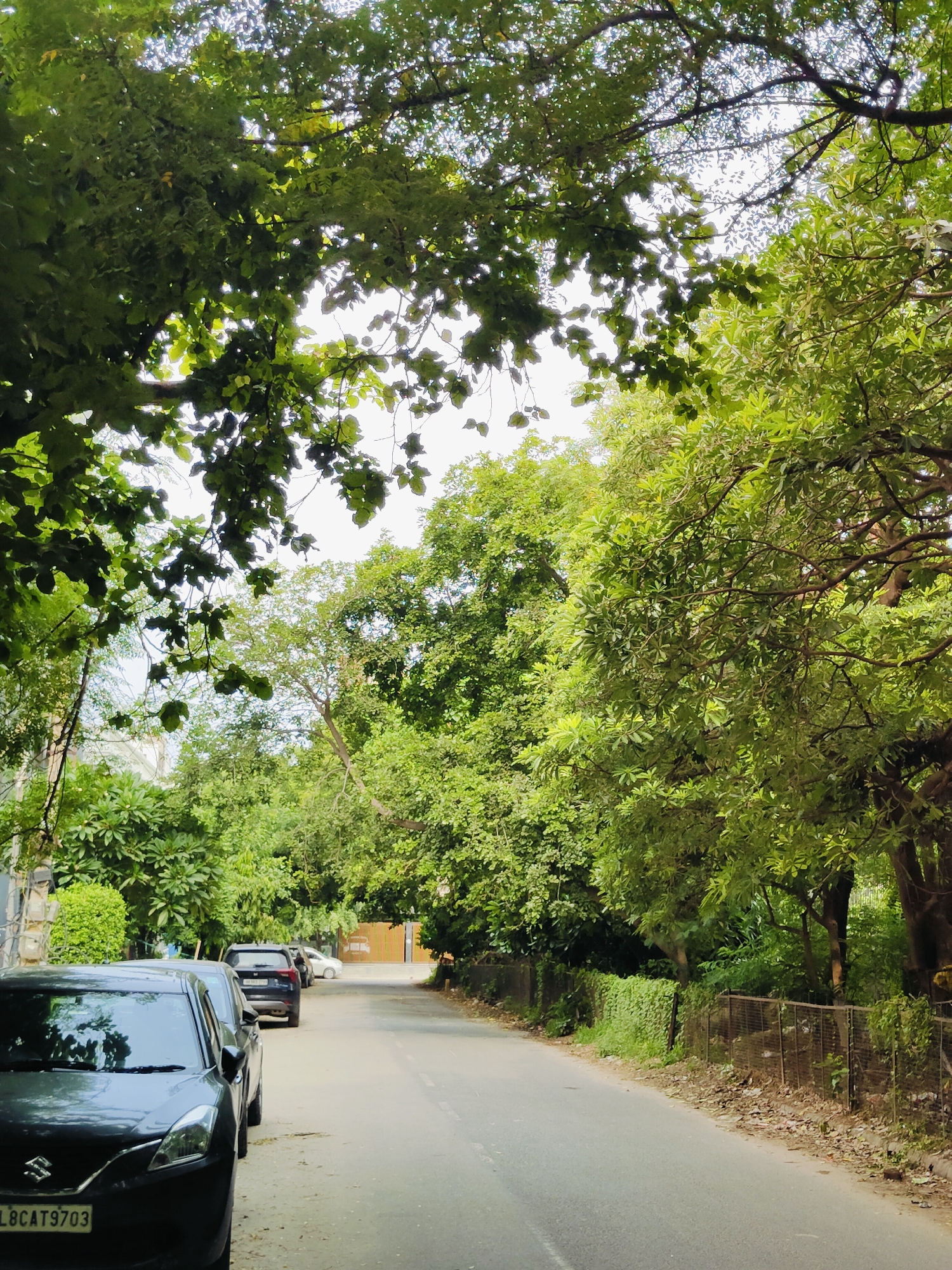 The image depicts a street in Gurgaon, India, lined with lush green trees that create a canopy overhead. A paved road runs through the scene, with several cars parked on the side. In the foreground, a dark-colored Maruti Suzuki Baleno is visible, with its license plate reading "DL8CAT9703". Further down the road, other vehicles are parked, including a black SUV and a white car. The left side of the street features a building and manicured bushes, while the right side is bordered by a metal fence and dense vegetation. The overall impression is one of a serene, tree-lined urban environment.