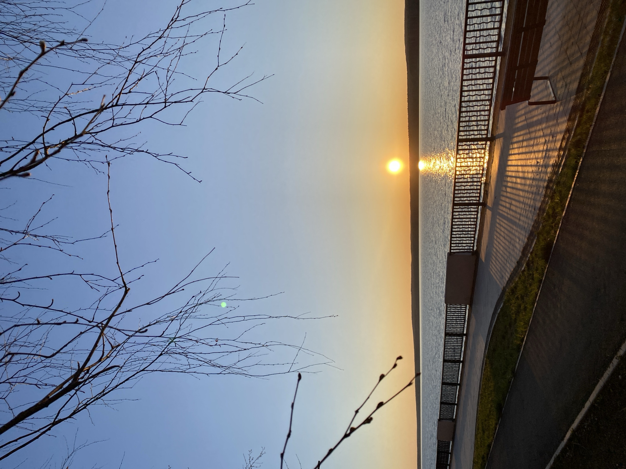 The image depicts a sunset over a body of water, possibly a river or lake. The location is likely Chaikovsky, Russia, given the context. The sun is low on the horizon, reflecting off the water's surface. A bare tree with budding branches is visible in the foreground, obscuring part of the sky. A promenade with a metal railing and benches runs along the water's edge. The sky is a gradient of blue to orange, indicating sunset. A paved path with grass alongside is also visible on the right side of the image. There are no people apparent in the scene.
