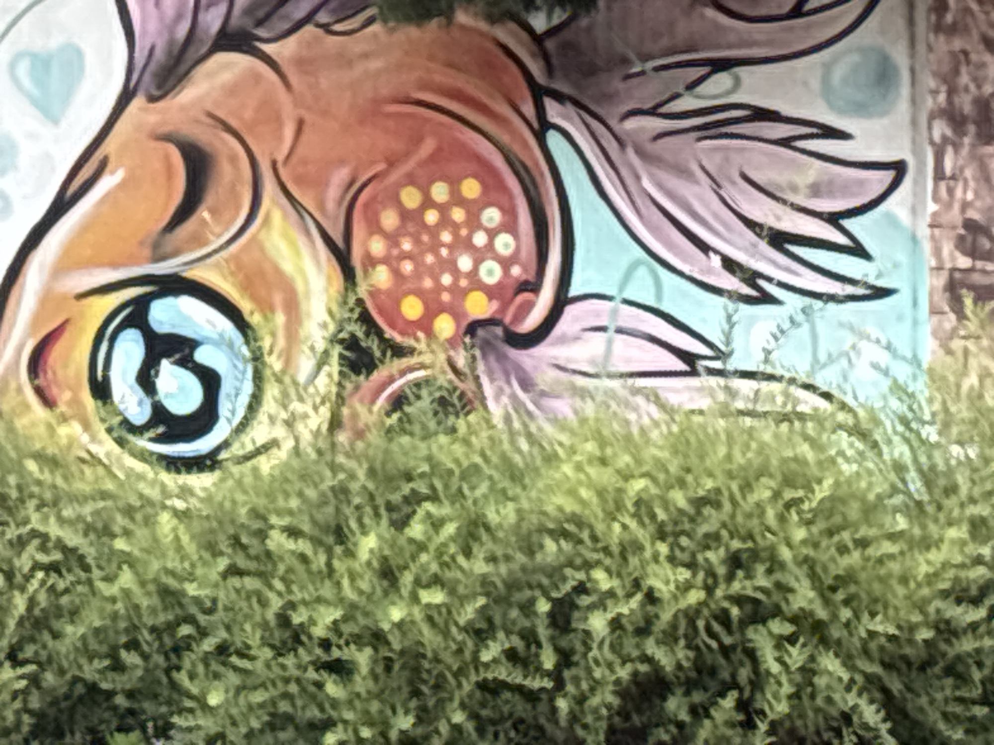 A close-up, eye-level shot shows a colorful mural painted on a wall, partially obscured by lush green foliage in the foreground. The mural depicts a stylized, anthropomorphic fish with a large, blue and black eye, pink and orange scales, and flowing fins. The fish has a gentle expression, and the artwork features bright, bold colors. In the background, a brick texture is visible on the right side of the wall. The foliage in the foreground is dense and appears to be a bush or shrub, with individual leaves and stems clearly distinguishable. The lighting suggests it is daytime, with natural light illuminating the scene. The image does not contain any identifiable people or specific landmarks that would pinpoint a precise location within Batumi, Georgia, beyond it being an outdoor urban setting with street art.