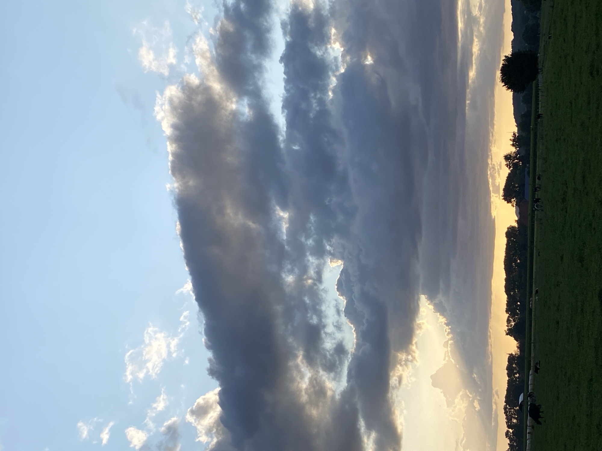 This is a vertically oriented, low-angle, outdoor photograph of a sunset over a rural landscape in Rinteln, Germany. The sky dominates the upper portion of the frame, filled with dramatic, dark grey clouds partially obscuring a bright, golden sunset. The light from the sunset peeks through the clouds, creating a striking contrast.
The lower portion of the image features a green pasture with a line of dark trees and hills in the distance silhouetted against the sunset. A few small, dark shapes scattered across the pasture appear to be cattle. The overall impression is one of natural beauty and tranquility as day transitions into evening. The time of day is clearly sunset, and the weather appears to be partly cloudy. The presence of trees and cattle suggests a rural or agricultural setting. There is no visible text in the image.