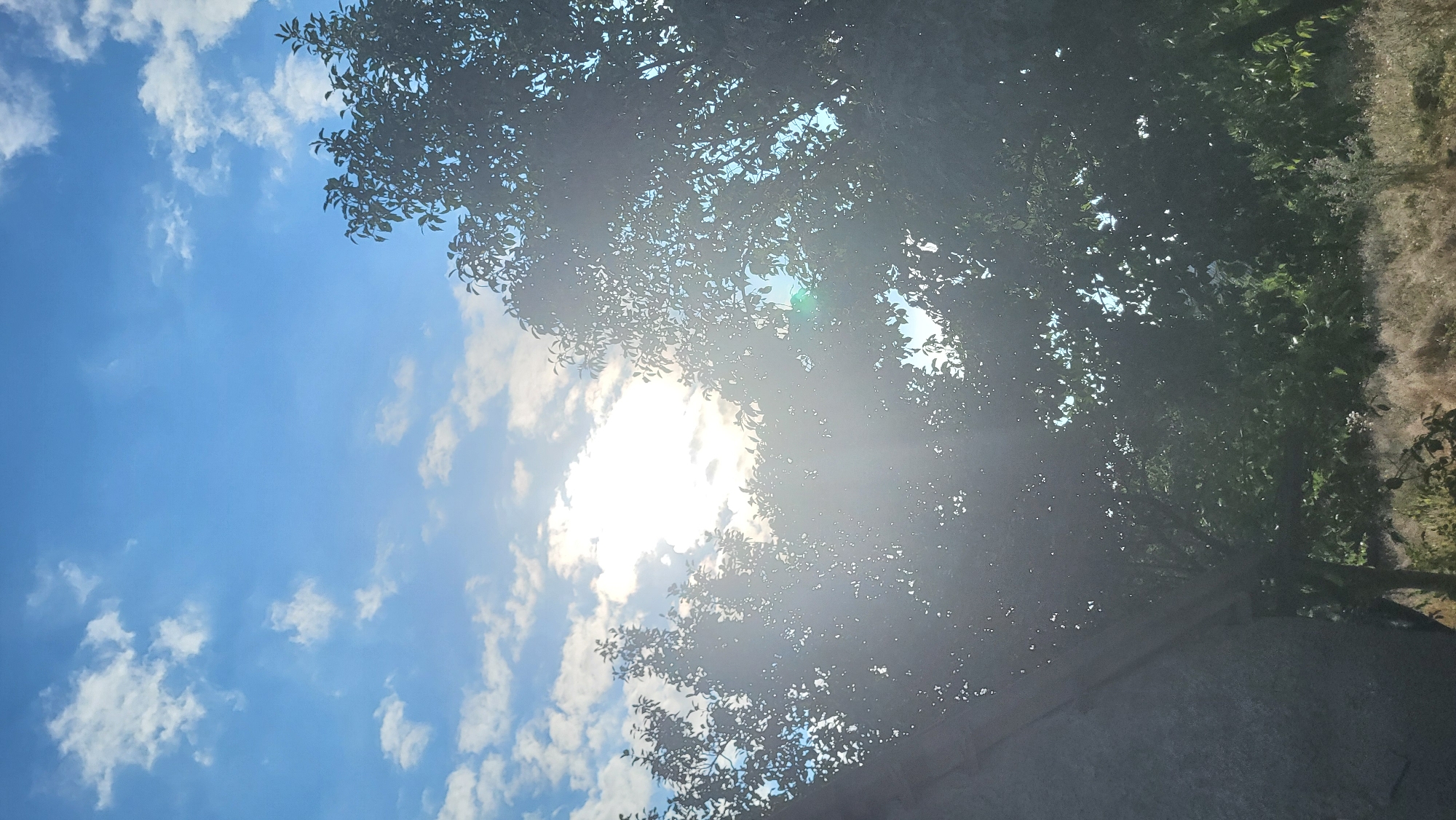 The image depicts a partially obscured view of a blue sky with scattered white clouds. Sunlight is shining brightly through the foliage of trees, creating a lens flare effect. In the foreground on the left, a portion of a dark, textured surface, possibly a building or structure, is visible. The lower portion of the image shows dense greenery, likely trees and undergrowth, with some dry, feathery grasses in the distance. The scene is devoid of any people or discernible action. The location is identified as the city of Smila, Ukraine.