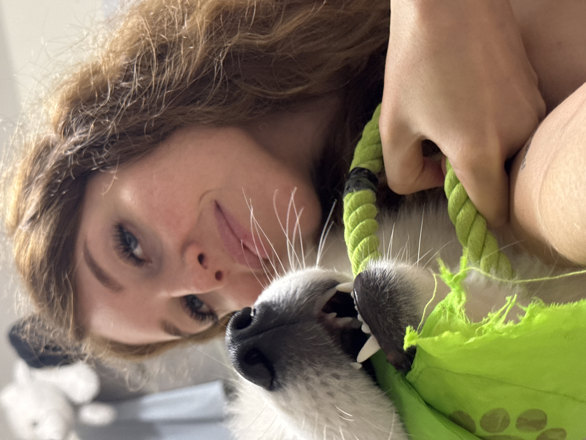 In a close-up, eye-level shot, a woman with long, wavy auburn hair is smiling as she looks at the camera. Her right hand is holding a green rope toy that a dog is enthusiastically biting. The dog's mouth is open, revealing sharp white teeth, as it grips the toy, which appears to be made of fabric and rope. The dog's nose is black and its fur is white and fluffy. The background is blurry and appears to be an indoor setting, with a glimpse of a light-colored wall and possibly a stuffed animal on a shelf. There is no indication of the image's location in Chaikovsky, Russia.