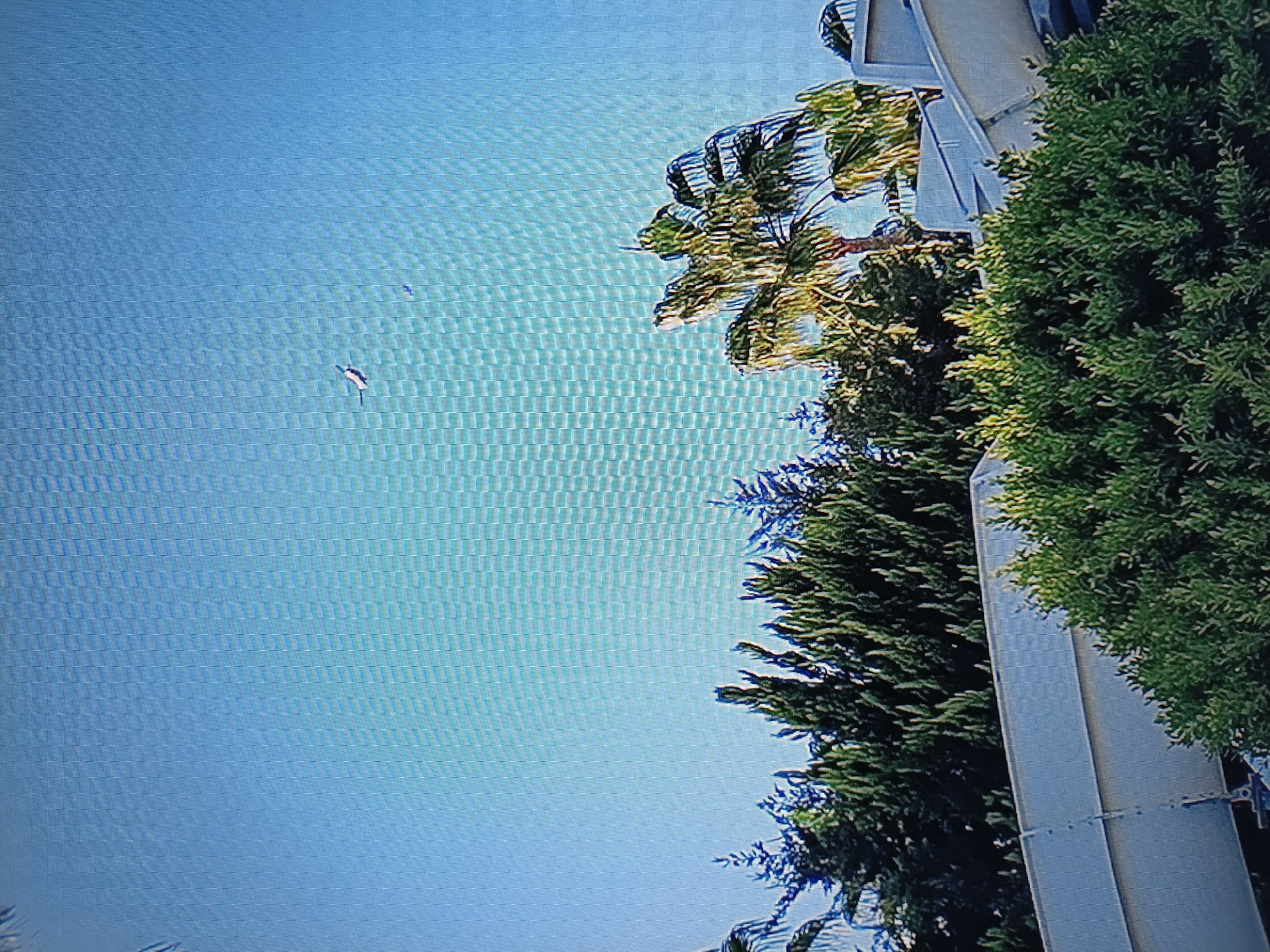 A light-colored airplane flies across a clear blue sky above a landscape of trees and a water slide. The airplane is small and appears to be high in the sky. The trees are a mix of evergreen and palm trees, and the water slide is white and appears to be part of a resort or park. The location is not Tiraspol, Moldova, as this is a scene of a tropical or subtropical location with palm trees.