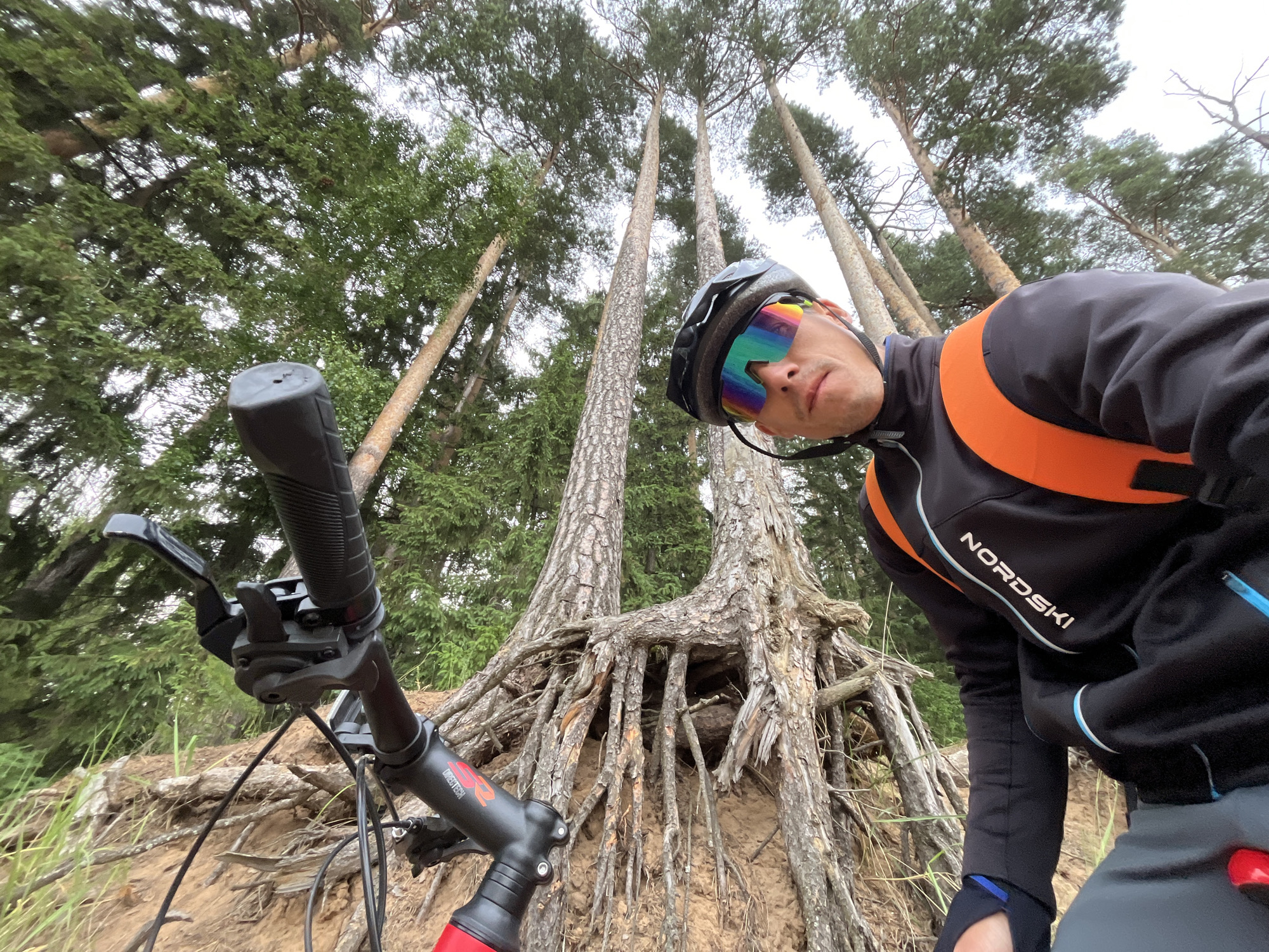 A low-angle, wide-shot photograph captures a person on a bicycle in a forest with large pine trees. The person, wearing a helmet and sunglasses with a rainbow lens, is leaning forward, looking towards the camera. They are wearing a black jacket with orange accents and the brand name "NORD" is visible on the sleeve. The bicycle's handlebars and front brake lever are in the foreground. The ground is sandy and covered with exposed tree roots, indicating a natural, possibly remote, environment. The forest is dense with tall pine trees and green foliage. The sky is overcast. This image was taken in the city of Chaikovsky, Russia.