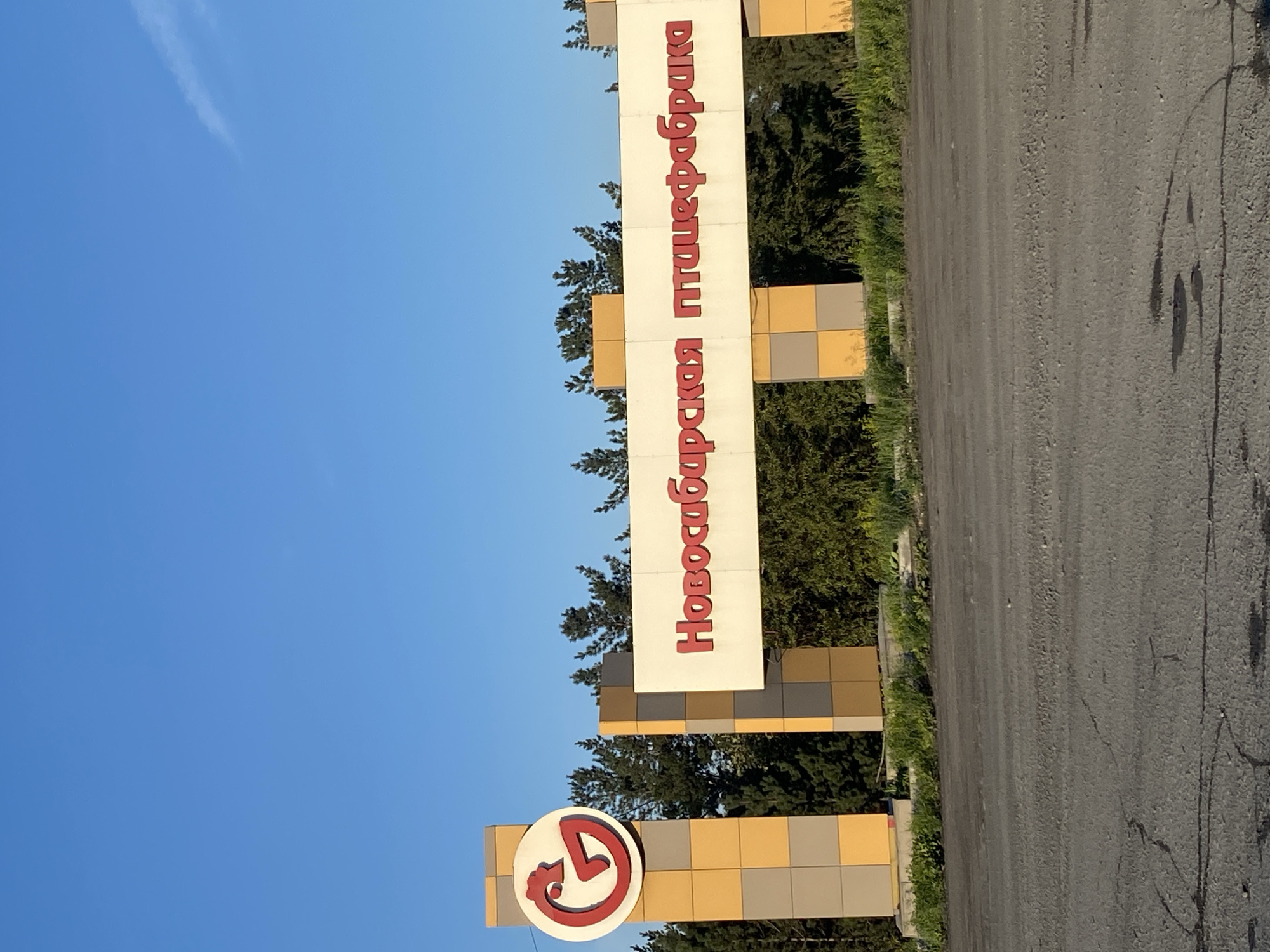 The image captures a sign in the city of Evsino, Russia, with Cyrillic text in red lettering against a white background. The text reads "Новосибирская птицефабрика," which translates to "Novosibirsk Poultry Farm." To the left of the text is a large, stylized red letter "G" within a circular emblem, set against a checkered background of yellow and grey squares. This emblem is mounted on a tall, square pillar also featuring the checkered design. Behind the sign, lush green trees and foliage are visible under a clear blue sky. The foreground shows a cracked asphalt road, suggesting it is an outdoor scene, likely an entrance to the poultry farm.
