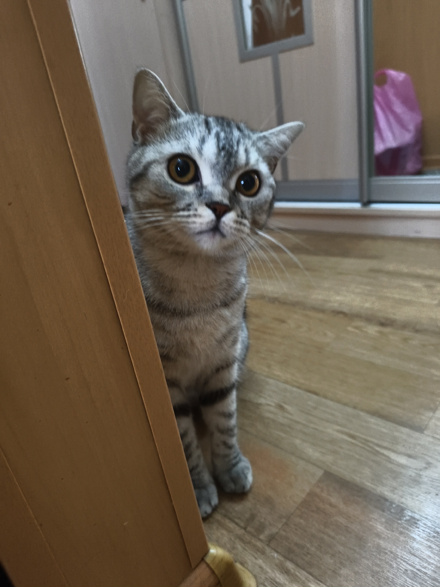 A silver tabby cat with large, amber eyes peeks out from behind a wooden surface in a dimly lit room. The cat is looking directly at the camera with a curious expression. Its fur has distinct black stripes, and its ears are alert. The background appears to be a wooden floor and a wall with a reflective surface, possibly a mirror or a closet door, showing a blurry pink object. The lighting is soft, casting subtle shadows.