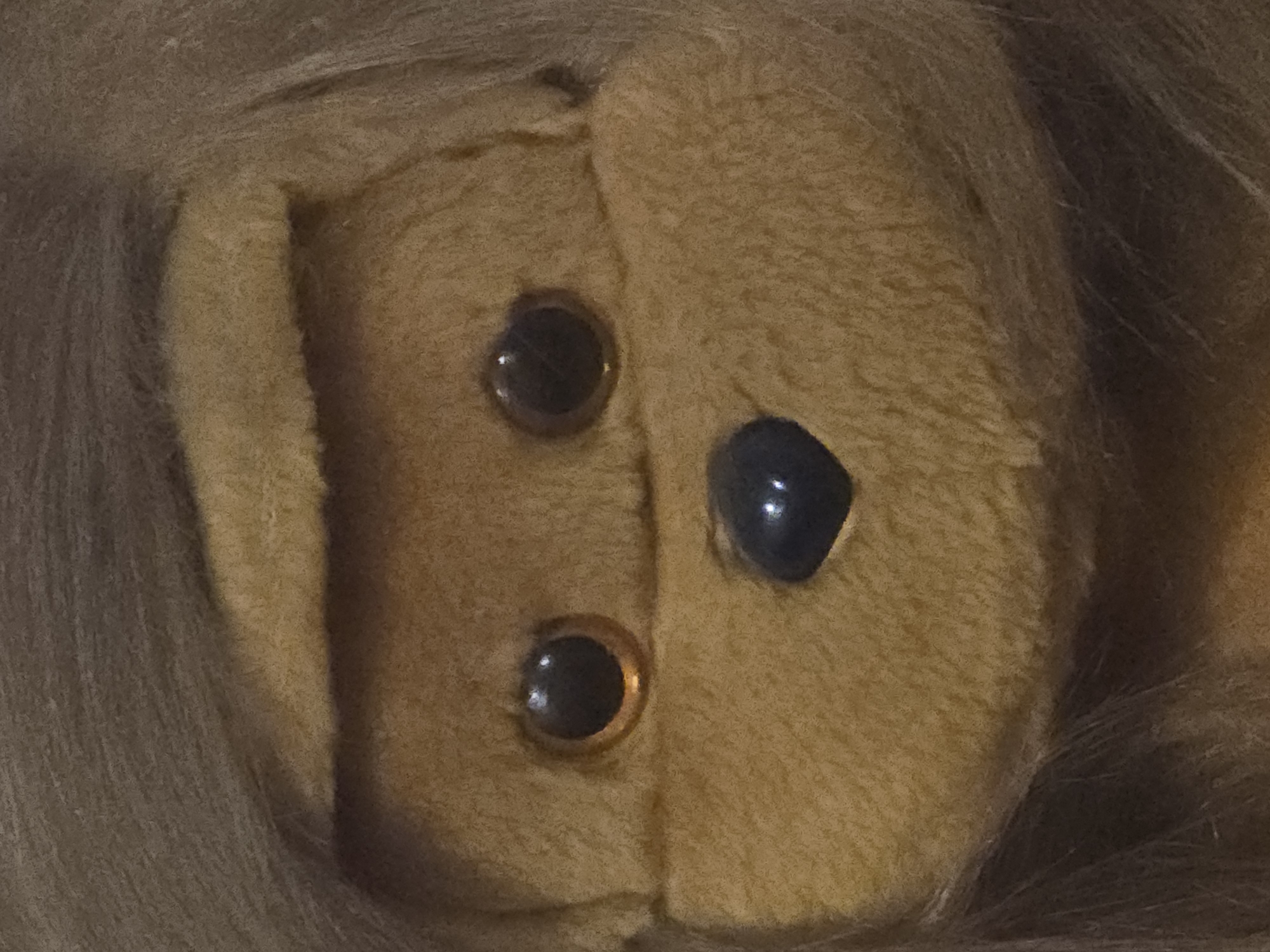 This is a close-up, head-on, vertical shot of a stuffed toy animal, likely a monkey or similar creature. The toy is made of soft, fuzzy material and is a light brown or tan color. Its face is the primary focus, with two dark, circular eyes that have a reflective sheen. Below the eyes, a black, heart-shaped nose is prominently displayed. A seam runs horizontally across the upper portion of the toy's face, suggesting a structure to its head. The toy also appears to have brown fur or hair around its face. The background is indistinct and appears to be a continuation of the toy's fur or the environment it is in. There are no people, other objects, or discernible environmental details to establish a specific location within a city.
