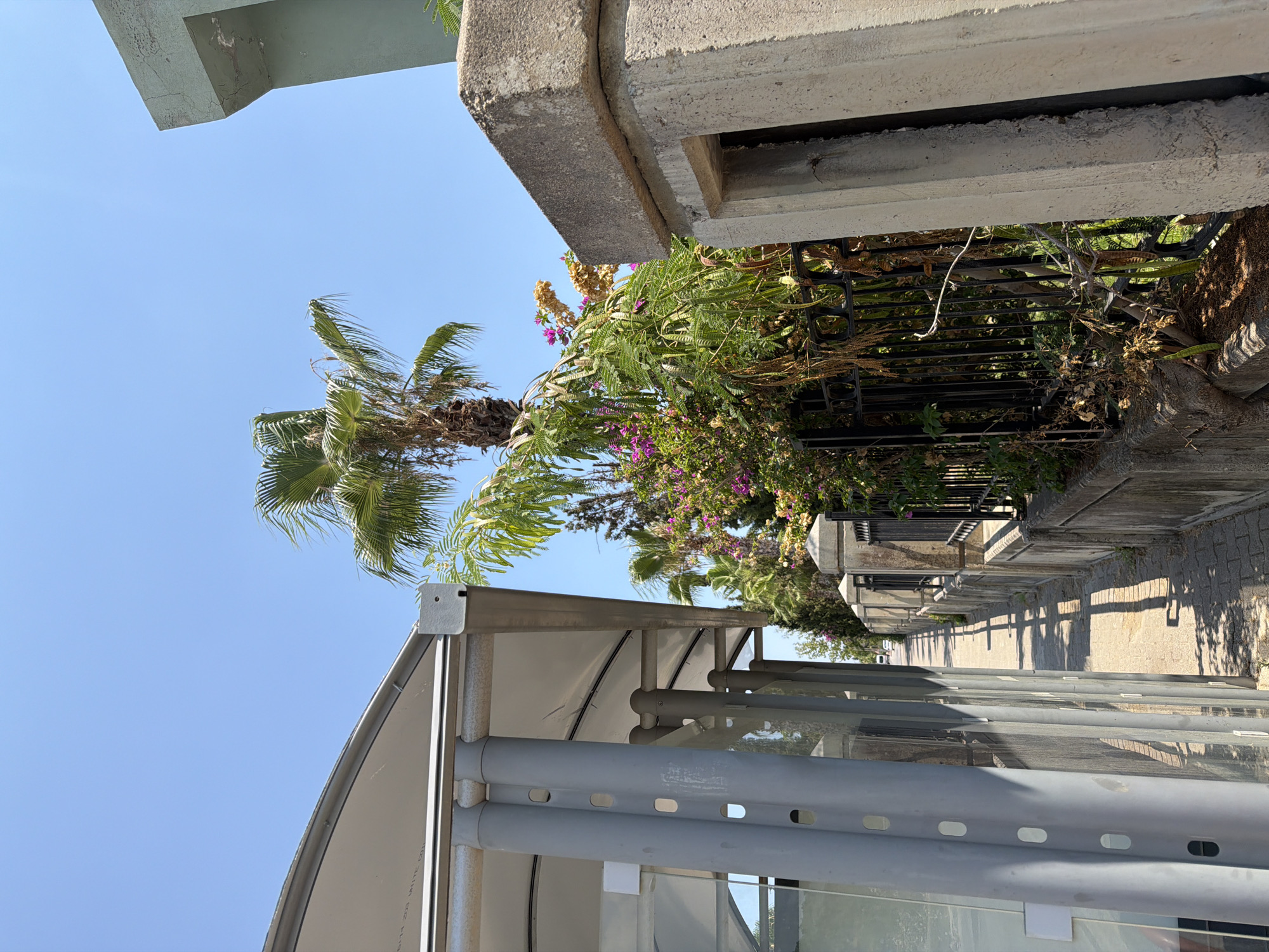 This image depicts a view of a sidewalk next to a bus stop shelter on a sunny day. The bus stop shelter has a metal frame and a white canopy. To the right of the sidewalk, there is a low concrete wall topped with a black metal fence. Behind the fence, lush greenery with pink and yellow flowers and palm trees can be seen. A large concrete structure is also visible on the right side of the image. The sky is clear blue. This scene is likely located in Kemer, Turkey, a coastal town known for its palm trees and sunny climate. There are no people visible in the image.