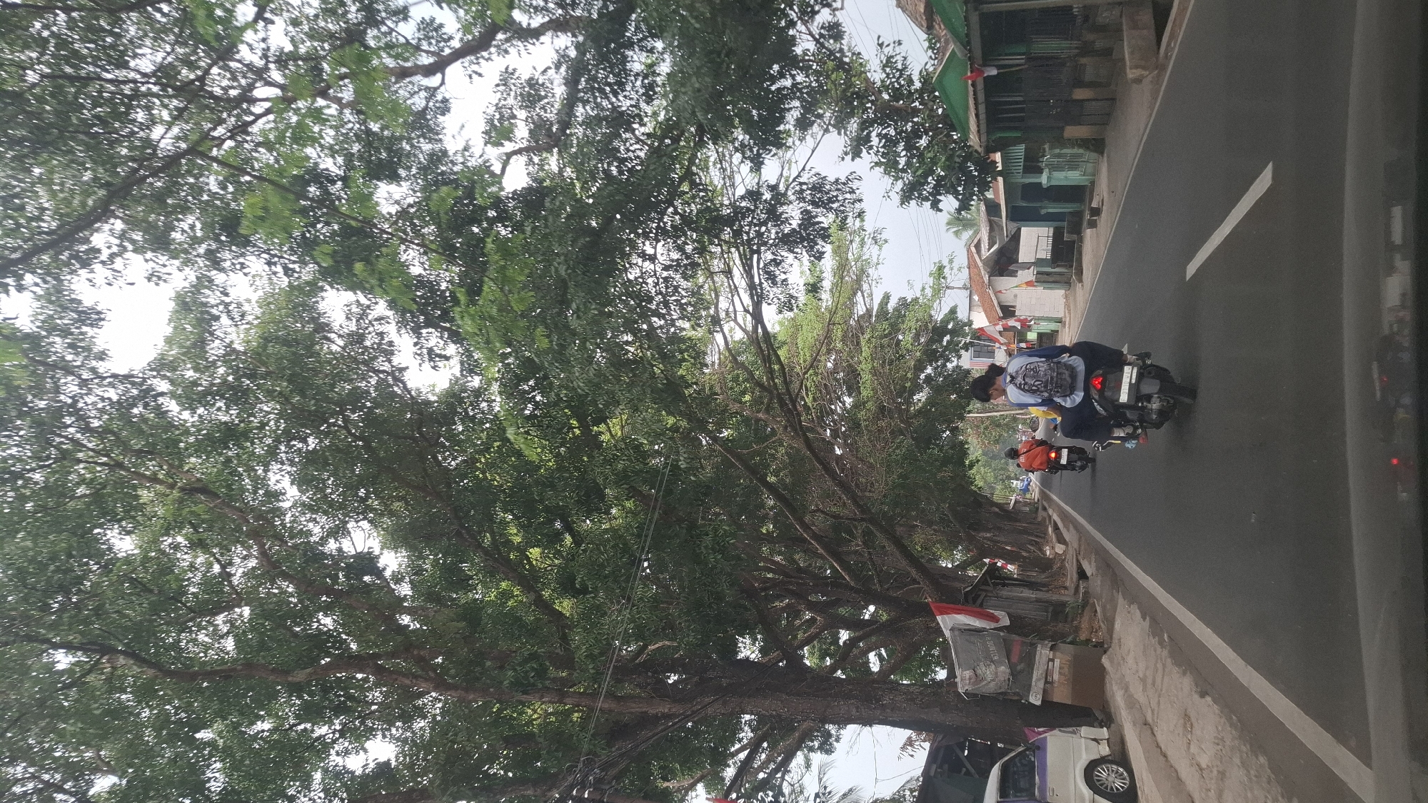 The image depicts a street scene in Susukan, Indonesia. A road runs through the center, flanked by large trees with lush green canopies that create a dappled light effect. The left side of the road has a sidewalk and a white van parked alongside. There are also some simple structures with flags visible, suggesting a residential or commercial area. The right side of the road features several small buildings, also adorned with flags.
In the foreground, from the perspective of a vehicle, two motorcycles are visible on the road. The first motorcycle, further ahead, has a rider wearing an orange shirt. The second motorcycle, closer to the viewer, carries two people. The person in the back is wearing a blue shirt and a backpack, and they are looking to the right. The image captures a typical day on a street in Susukan, Indonesia, with local transportation and a vibrant, tree-lined environment.