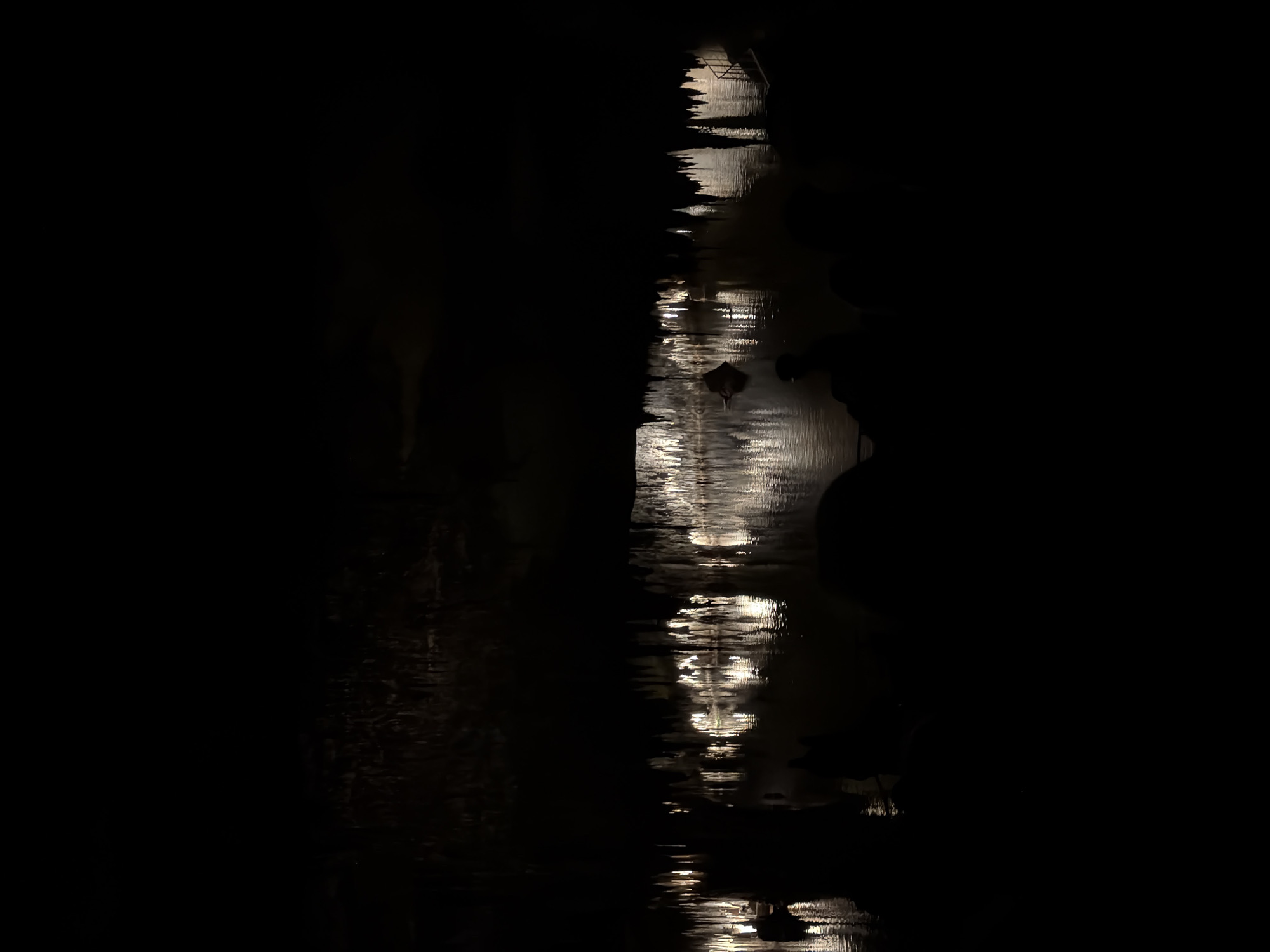 The image shows a very dark, presumably nighttime, scene. A central strip of light reflects off a water surface, implying a river or canal. The reflections suggest there are lights above, possibly strung along a bridge or building. The edges of the image are mostly black, indicating the surrounding environment is unlit. The presence of a ray suggests this photo was taken at the underground lake, Cuevas del Drach, a popular tourist spot in Manacor, Spain. There appear to be the silhouette of a person standing near the water on the right of the image.