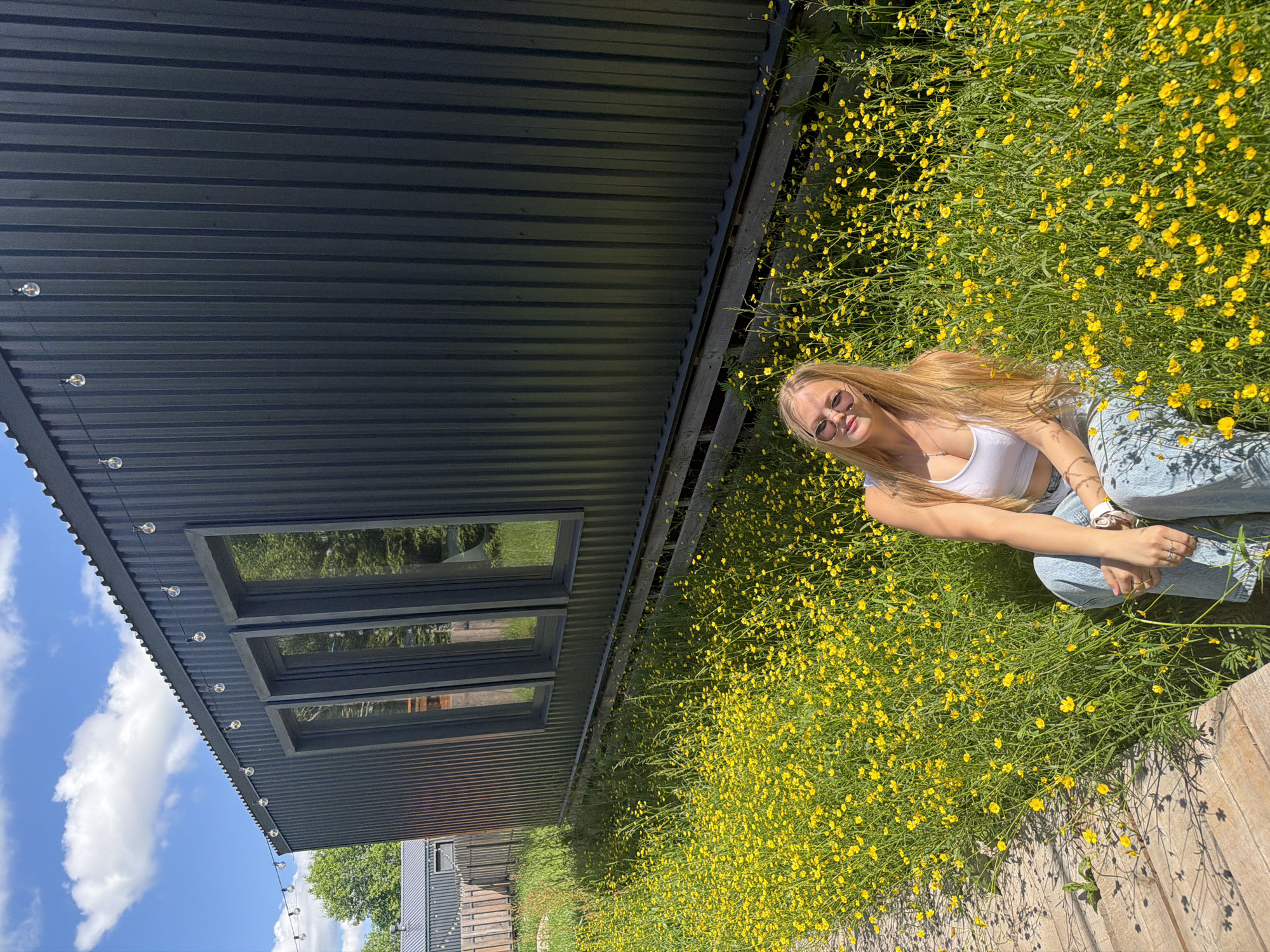 The image captures a young woman sitting in a lush field of vibrant yellow wildflowers under a bright, clear sky. She has long, straight blonde hair and is wearing a white crop top, light blue jeans, and sunglasses. She is positioned towards the right side of the frame, with her arms resting on her knees, and she looks towards the viewer with a relaxed, slightly smiling expression.
To the left of the woman, a modern building with dark grey corrugated metal siding is prominently featured. It has several horizontal windows that reflect the blue sky, scattered white clouds, and green foliage. A string of decorative light bulbs hangs along the eave of the building. A wooden deck or walkway is visible in the foreground, at the bottom right.
The scene is illuminated by bright sunlight, indicated by the crisp shadows cast. The weather appears pleasant and sunny. The overall impression is one of leisure and enjoyment of the outdoors in a natural setting, potentially in Vozhoiskii, Russia. There is no visible text in the image.