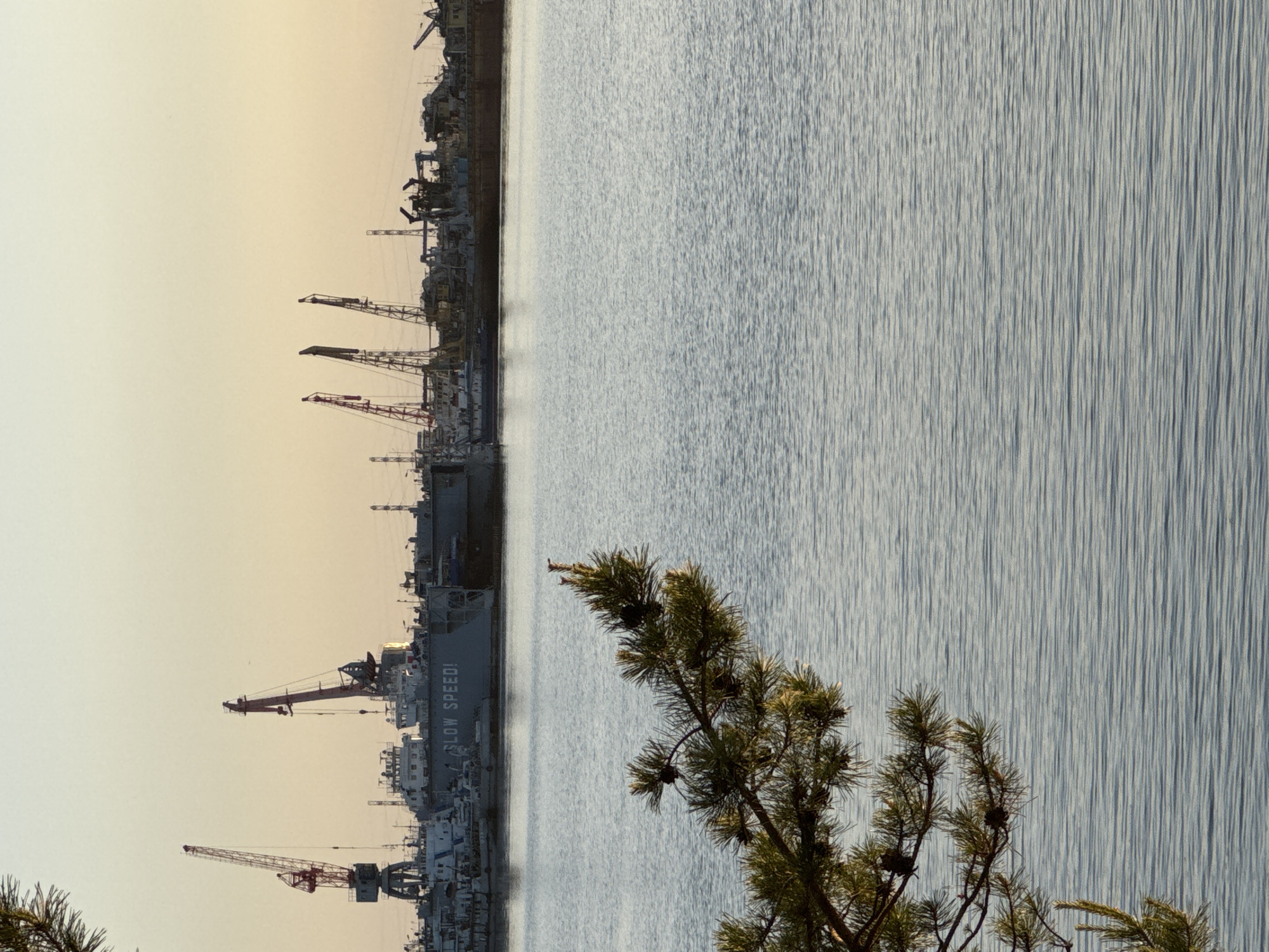 The image shows a harbor scene in Chaikovsky, Russia. Along the left side, there is a row of cranes and industrial structures lining the shore. Several ships are docked, one with the words "SLOW SPEED!" prominently visible. The right side of the image is dominated by the water, which has a rippled texture. In the foreground, a pine branch is partially visible, obscuring part of the water and harbor view. The sky is light-colored and pale, suggesting dusk or dawn. There are no people visible in the image.