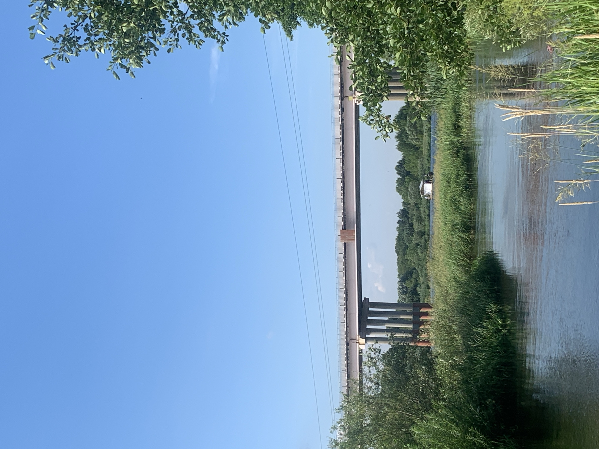 A wide, calm river flows through a verdant landscape under a clear blue sky. On the left bank, lush green foliage and tall grasses line the water's edge. In the distance, a long, elevated bridge stretches across the river, supported by multiple large pillars. A small, white houseboat is visible on the river, closer to the far bank, nestled amongst reeds. Trees form a dense green line along the horizon. The overall scene depicts a serene, natural environment with man-made structures integrated into the landscape.