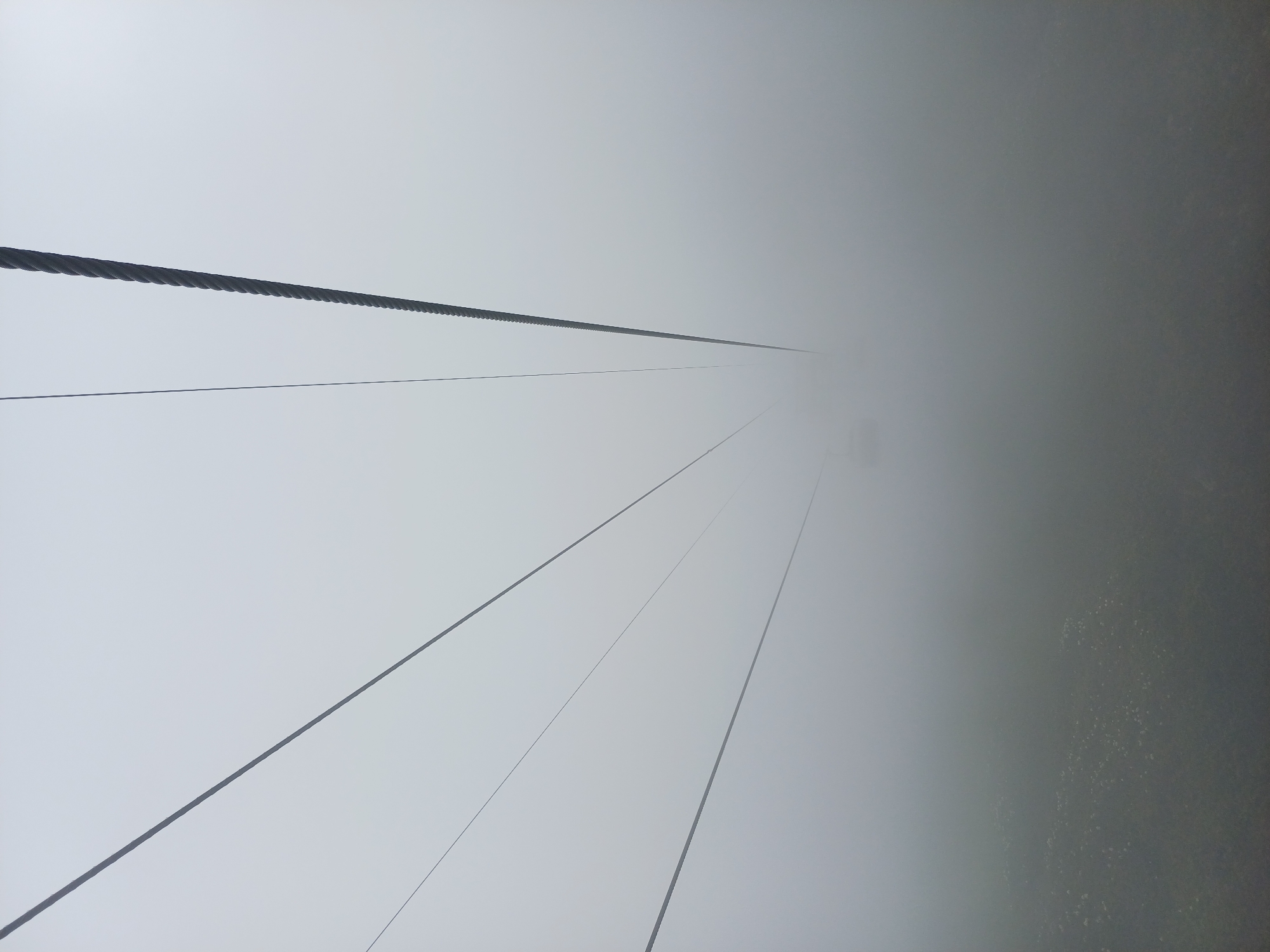 The image, taken from a cable car in Estosadok, Russia, captures a misty mountain landscape. Multiple thick cables stretch across the frame, converging in the distance and disappearing into a dense fog. The fog obscures the ground below, where a sparse scattering of white flowers is faintly visible. The atmosphere is overcast and hazy, with the cable car itself barely discernible in the fog further down the line. The scene conveys a sense of isolation and the overwhelming presence of nature.