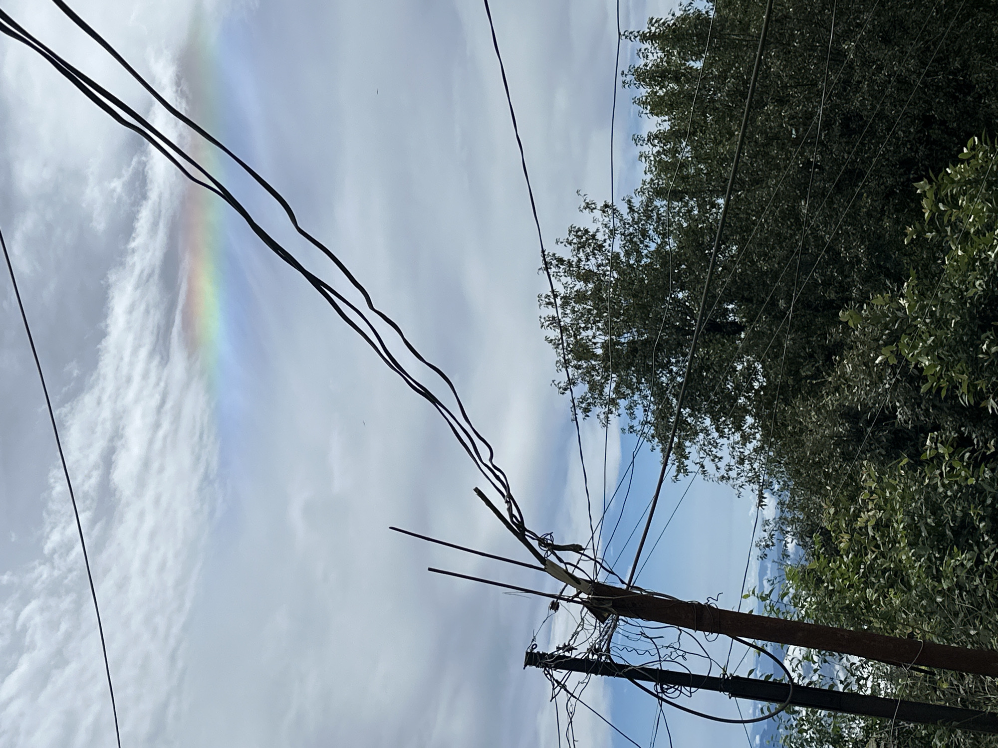 The image captures a segment of the sky in Haini, India, with a partial halo or a sun dog visible in the upper portion. The atmospheric phenomenon is characterized by a band of muted rainbow colors. Several power lines crisscross the frame, some taut and others slack, obstructing the view of the sky. In the foreground, a weathered utility pole stands to the left, adorned with a complex network of wires. Dense green foliage and trees occupy the lower and right portions of the image, suggesting an outdoor, possibly semi-urban or rural setting with abundant vegetation. The background reveals a hazy expanse of distant hills or mountains, partially obscured by clouds or mist. The overall scene is dominated by the contrast between the natural atmospheric display and the man-made infrastructure of power lines and poles.