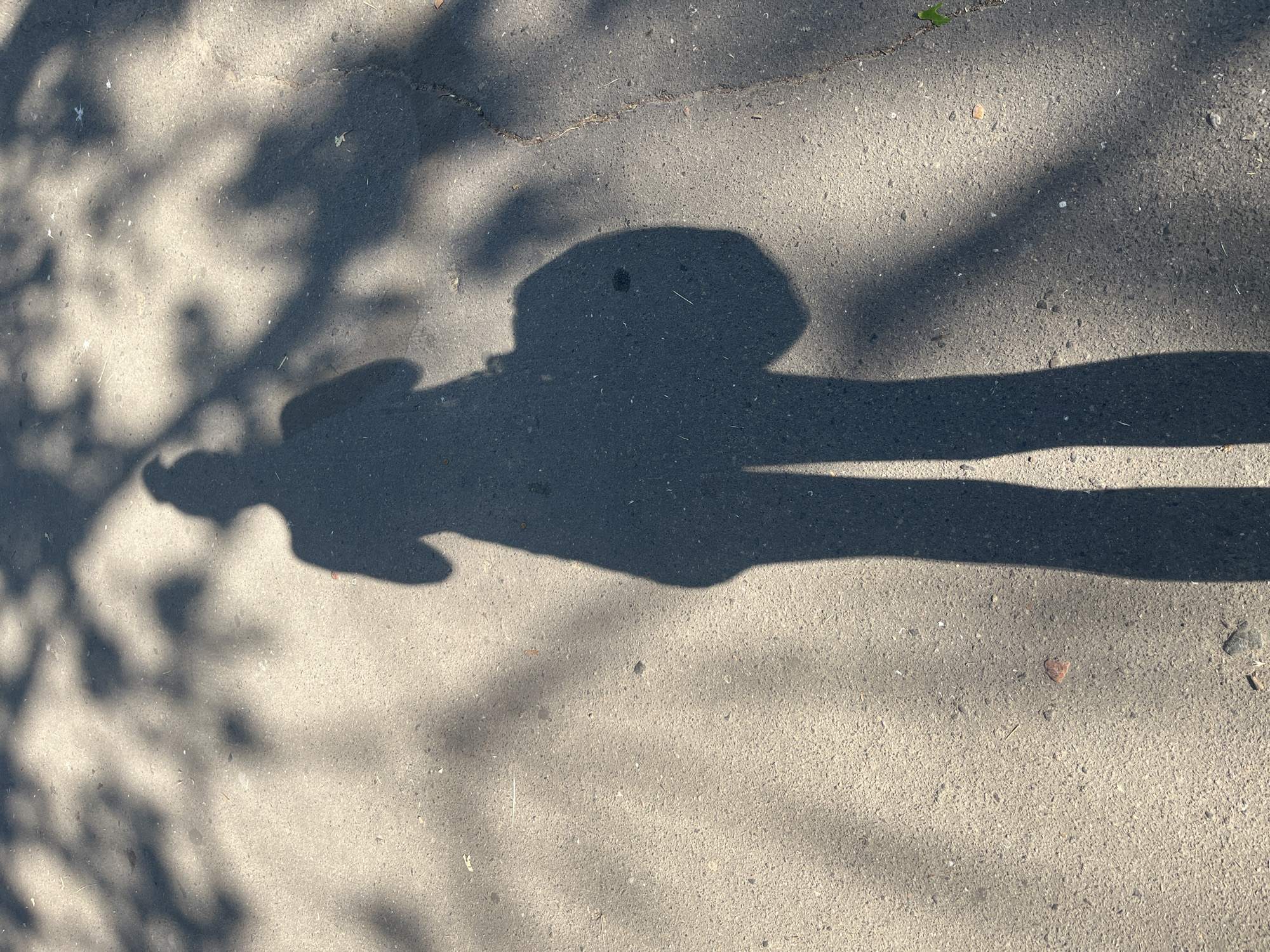 The image captures the shadow of a person standing on an asphalt surface, possibly a sidewalk or road. The shadow is cast by sunlight filtering through tree leaves, creating a dappled effect on the ground. The person is seen holding a bag over their shoulder. The shadow is elongated, indicating the sun is at a low angle. Small debris and cracks are visible on the asphalt.