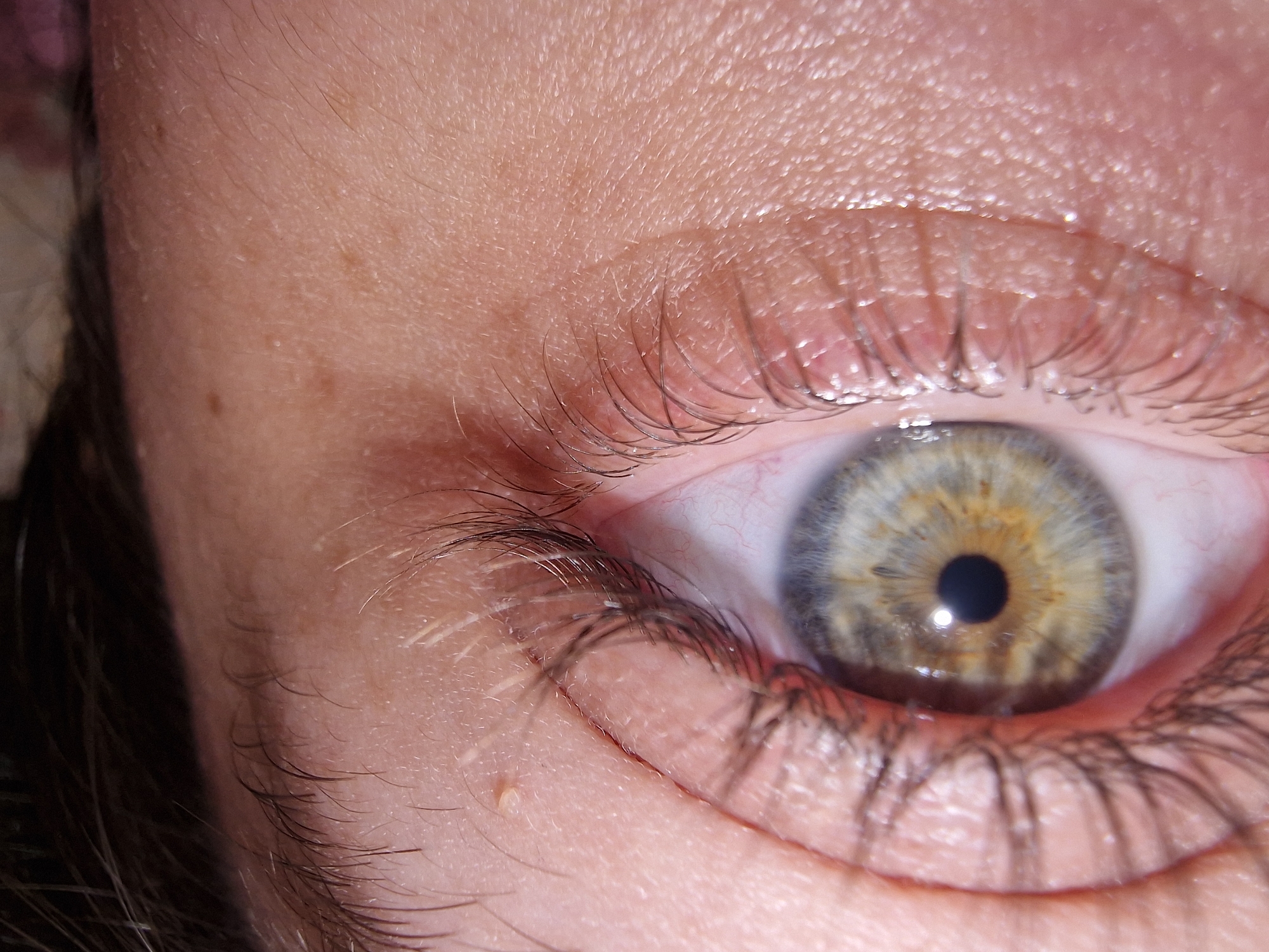 A very close-up, high-resolution shot captures a human eye. The subject is a single eye, angled slightly, revealing intricate details of the iris, pupil, and surrounding skin. The iris presents a captivating blend of colors, with shades of grey and blue transitioning to green, and a prominent ring of golden-brown around the central, black pupil. A distinct, bright reflection is visible within the pupil, indicating a direct light source.
The sclera (white of the eye) shows subtle redness and visible fine blood vessels. Long, dark eyelashes frame both the upper and lower lids, complemented by finer, lighter hairs on the eyelids and facial skin. The skin itself is detailed, displaying pores, natural texture, and several small moles or freckles to the left of the eye. No specific activity is depicted beyond the eye being open. There is no visible text in the image.
