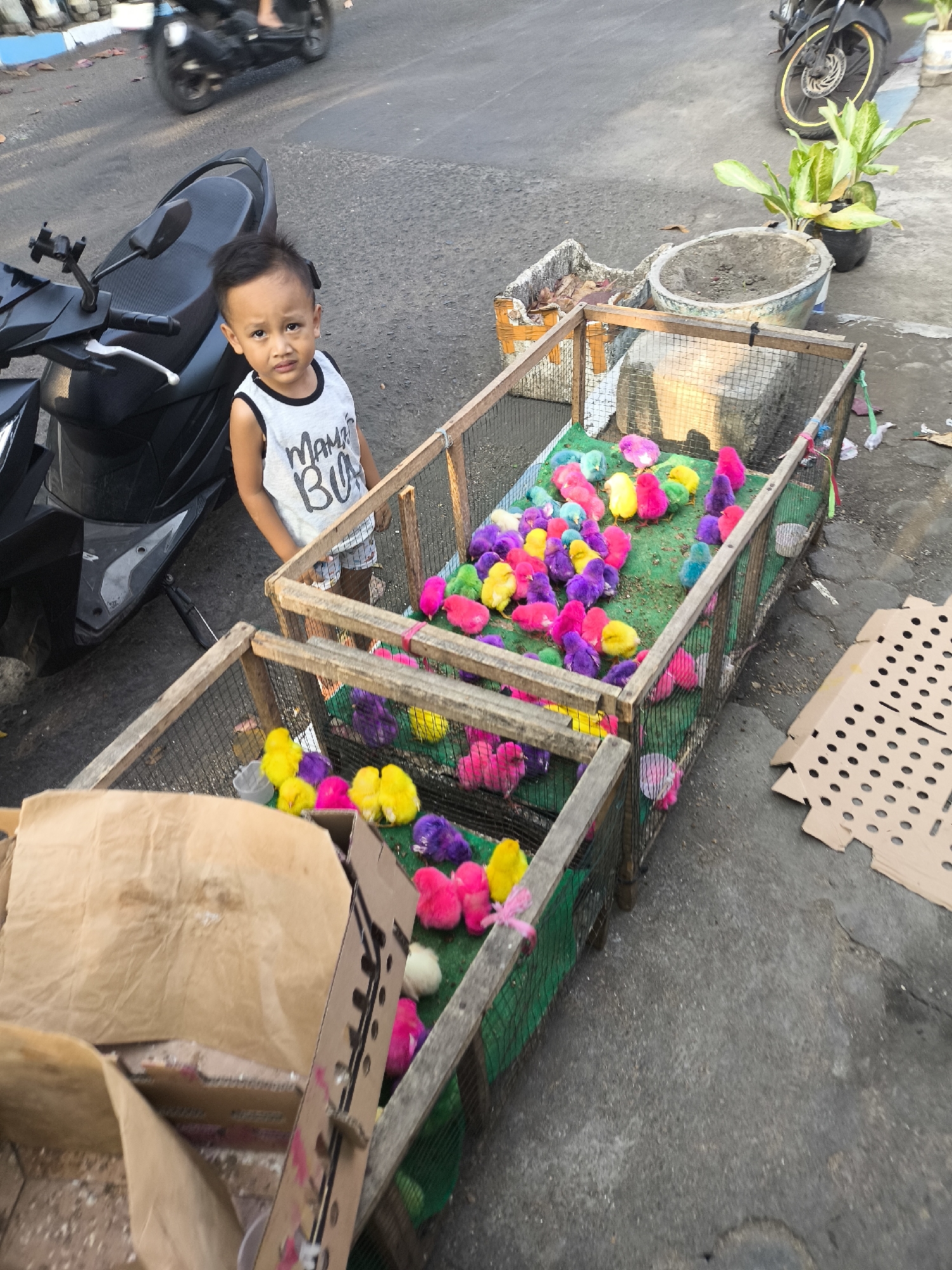 A young boy stands next to a wooden cage filled with brightly colored chicks on a street in Citrodiwangsan, Indonesia. The boy, wearing a white tank top with text and patterned shorts, looks towards the camera. The chicks, dyed in various colors such as pink, yellow, purple, and green, are nestled on a green surface within the cage. A black motorcycle is parked to the left of the boy and the cage. In the background, another motorcycle is visible, along with potted plants and other street elements. The scene appears to be an outdoor market or roadside stall.