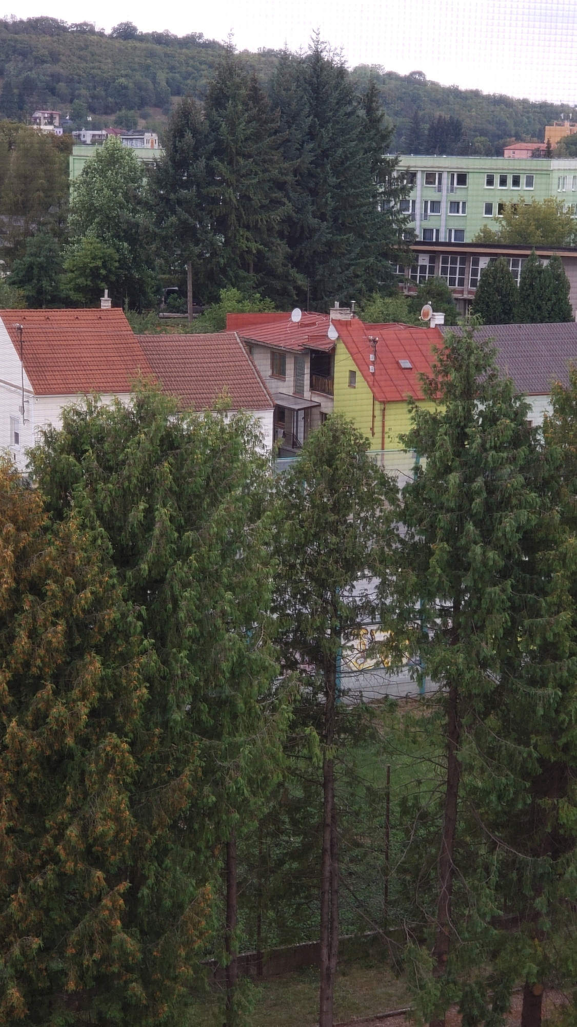 This aerial, oblique view captures a residential area in Prešov, Slovakia, featuring a mix of houses and apartment buildings nestled amongst lush green trees. In the foreground, several coniferous trees with dense foliage dominate the lower part of the frame. Behind them, a row of houses with distinctive red-tiled roofs is visible, with one house featuring a bright yellow facade. Further in the background, a larger, multi-story green apartment building stands out, characterized by its numerous white-framed windows. The scene is set against a backdrop of a heavily wooded hill, suggesting a semi-rural or suburban location on the outskirts of the city. The sky is overcast, contributing to the soft, diffused light of the image. No people are discernible in the frame, and the overall impression is one of a quiet, verdant neighborhood.
