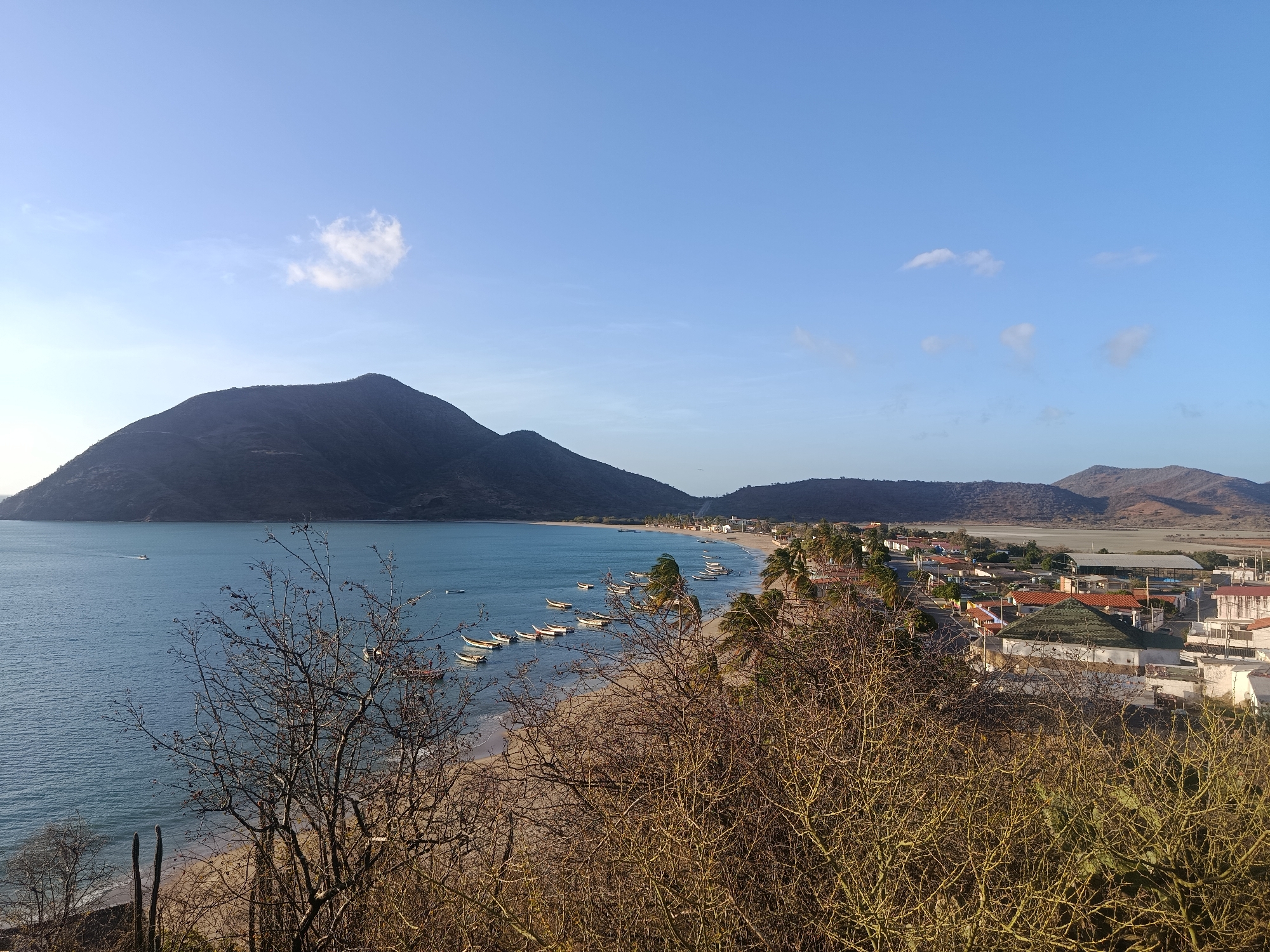 The image shows a panoramic view of Juan Griego, Venezuela. A large mountain dominates the left side of the frame, extending into the sea and forming a bay. Numerous small boats are anchored near the beach along the bay. A town with houses and buildings is visible on the right side of the bay, with red tile roofs common. The sky is mostly clear blue with a few scattered clouds. Some bare-branched trees and shrubs are in the foreground, slightly obscuring the view. The scene suggests a coastal town with a fishing industry.