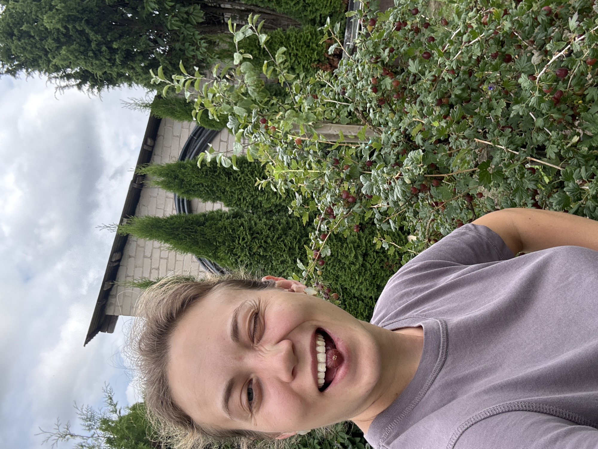 A young woman with blonde hair pulled back winks at the camera while holding a single berry in her mouth. She is wearing a purple t-shirt and standing outdoors in front of a gooseberry bush laden with ripe red berries. Behind her, a brick building with a slanted roof and tall, conical evergreen trees are visible. The sky above is overcast. The image appears to be taken in a backyard or garden setting. The location is Rezekne, Latvia.