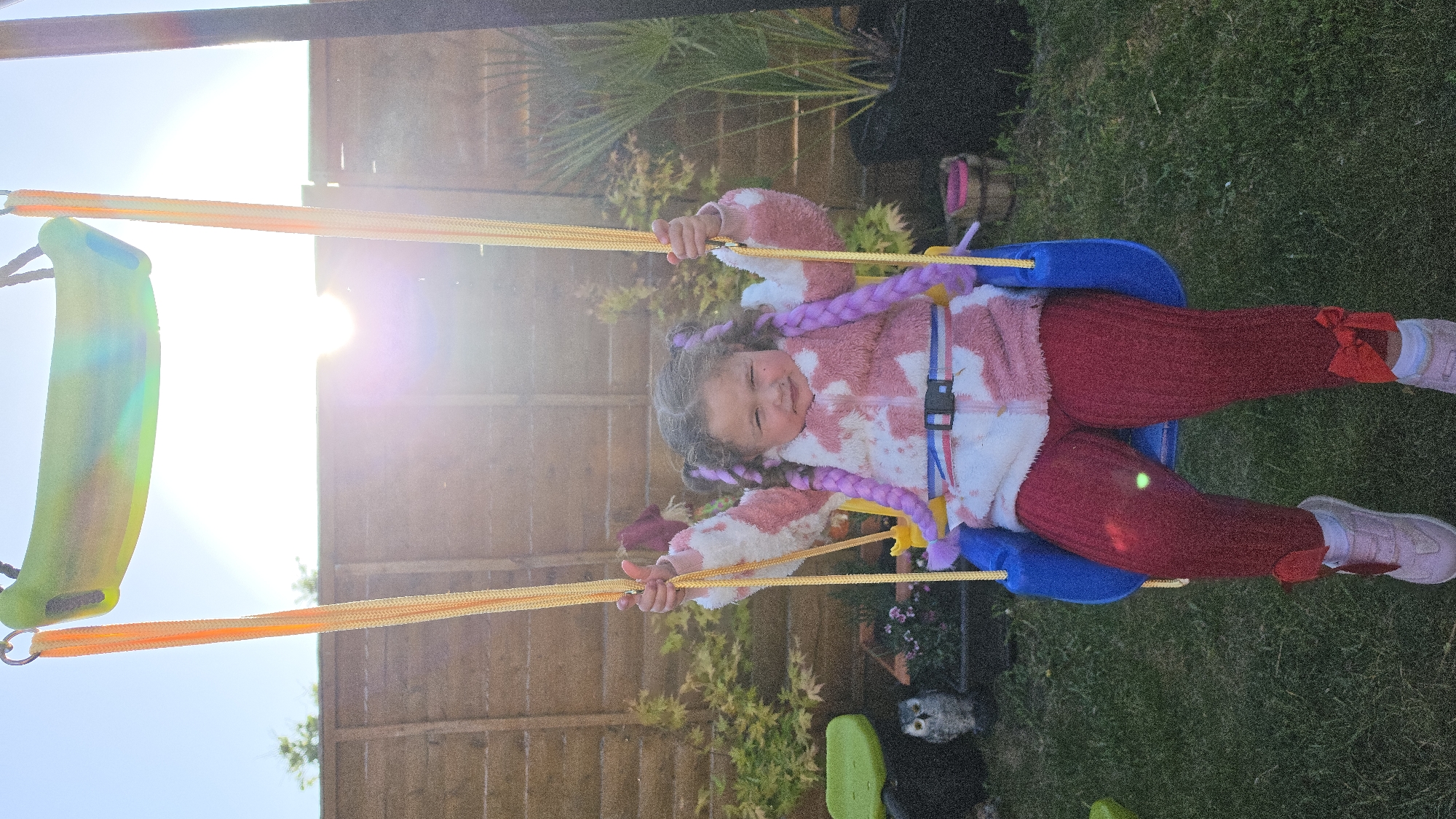 A young child is depicted mid-swing in a sunny outdoor garden, likely in London, United Kingdom. The image is taken from a slightly low angle, showing the child seated in a blue plastic bucket swing with yellow-orange ropes and a safety harness.
The child, a young girl with light brown, curly hair accented by purple braids or ribbons, looks towards the camera with a squinting smile, suggesting the bright sunlight. She is dressed in a cozy, long-sleeved top or jacket with a white and pink patterned fuzzy texture, paired with dark red ribbed leggings that feature small red bows at the ankles. Light-colored sneakers complete her attire, and her hands are holding onto the swing ropes.
The setting is a verdant backyard, with green grass visible beneath the swing. A wooden fence forms the background, behind which various plants, including a prominent palm-like specimen and smaller potted flora, are arranged. Overhead, a dark structure, likely part of the swing set's frame, is visible. The scene is illuminated by intense sunlight, which creates a significant lens flare emanating from the upper left portion of the image, indicating either early morning or late afternoon. The overall atmosphere conveys joyful play in a bright, natural environment. No visible text is present in the image.
