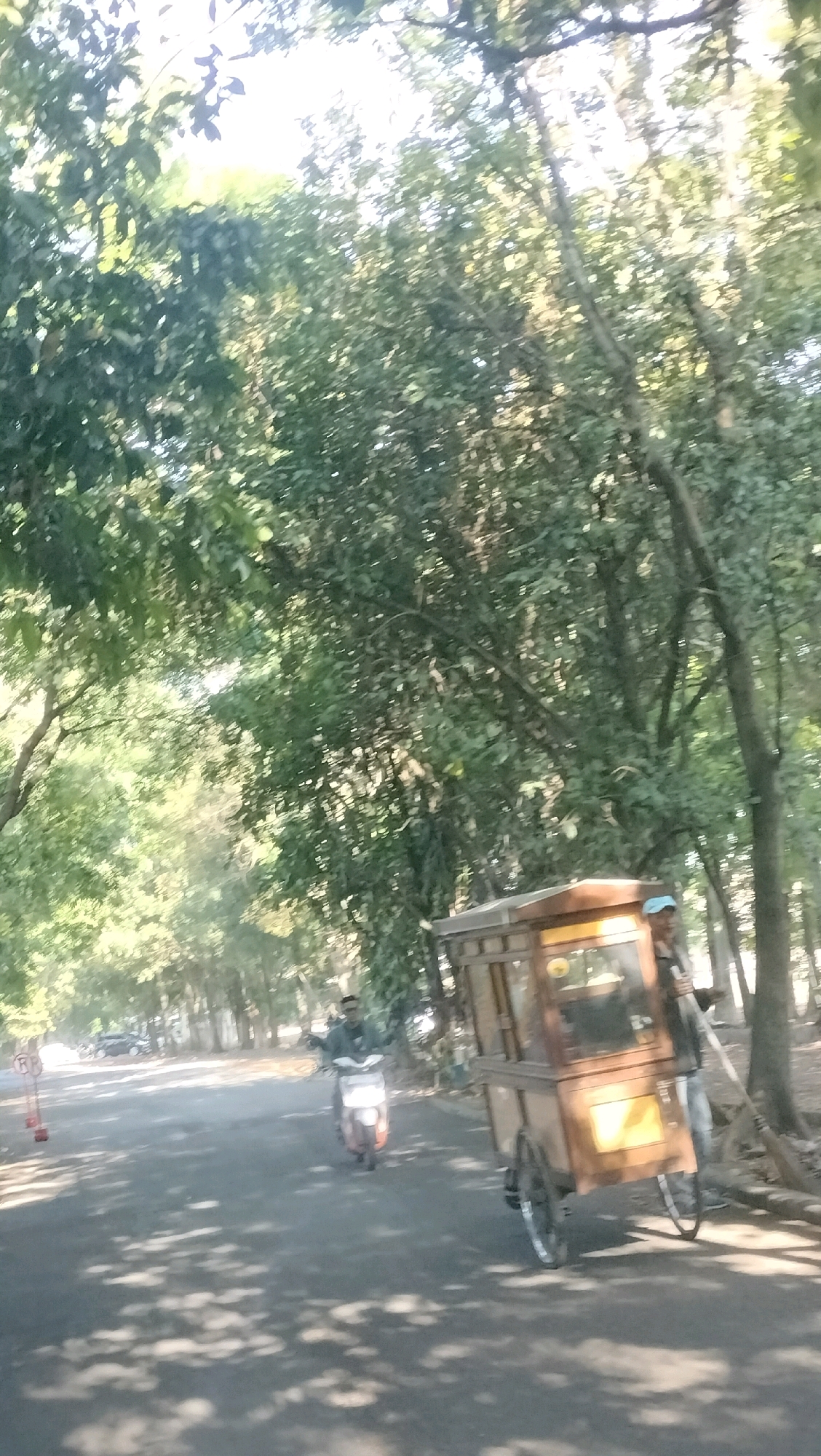 A street scene in Bandung City, Indonesia, is depicted in this image. The road is paved and lined with trees on either side, casting dappled shadows on the asphalt. In the foreground, a wooden cart with two wheels is parked on the right side of the road, with a person wearing a blue hat standing next to it. Further down the road, a person on a scooter is visible, heading towards the viewer. On the left side of the road, traffic cones are placed, and a few cars are parked in the distance. The lighting suggests it is daytime, with sunlight filtering through the leaves of the trees.