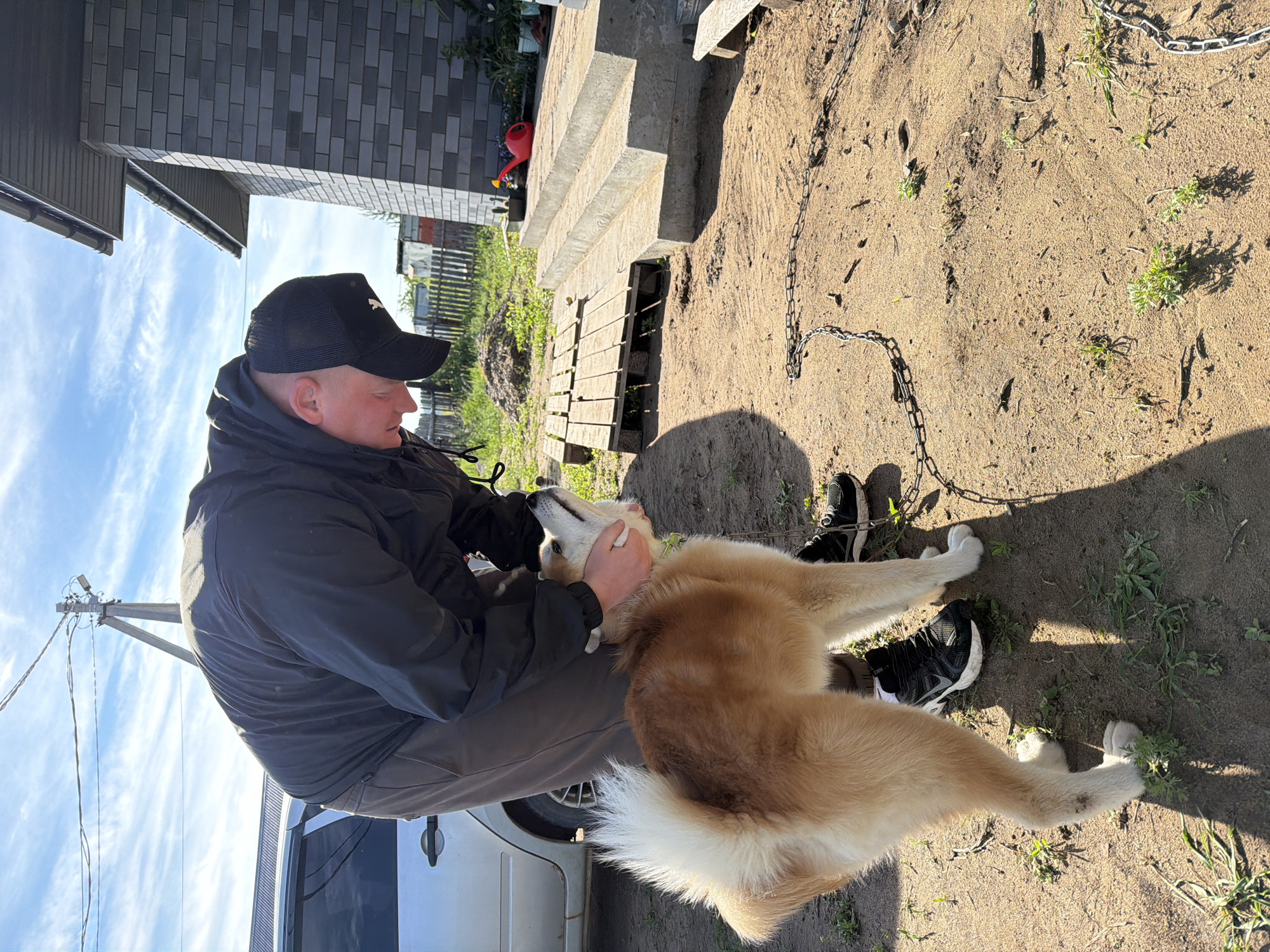 The image, taken in Chaikovsky, Russia, captures a sunny outdoor scene featuring a man and a dog in what appears to be a residential yard. The man is seen from the side, wearing a black jacket, dark pants, and a black baseball cap with a white "PUMA" logo. He is seated or crouching, facing the dog.
The dog, a medium-sized breed with a light brown and white coat and a fluffy tail, is positioned between the man's legs, looking up at him. The man has his hands around the dog's neck, appearing to pet or comfort it, and the dog seems content. The man is wearing black athletic shoes with white soles, featuring a "NIKE" logo, as are the shoes visible on the ground.
The ground is predominantly sandy-brown dirt with scattered patches of green grass and weeds. A heavy metal chain is visible lying on the ground to the right. In the background, a building with dark grey brick siding and a roof overhang is visible to the left. Further back, a wooden fence and some distant structures can be discerned. Near the building, there's a concrete structure, possibly steps, and a wooden pallet on the ground. A bright red watering can is also faintly visible in the mid-ground. To the lower left, part of a silver car is visible, next to the man. A utility pole with wires stands prominently against a bright blue sky with wispy white clouds. The strong sunlight casts clear shadows, suggesting it is either mid-morning or late afternoon. The overall atmosphere is one of calm affection between the man and his pet in an unpaved, rustic setting.