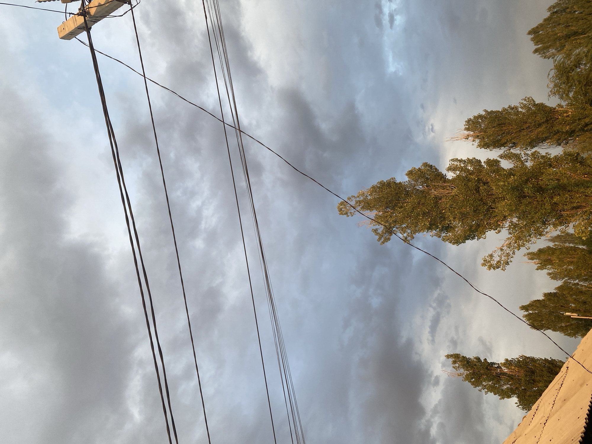 The image shows a cloudy sky with several power lines strung across it, supported by a concrete utility pole on the right side. In the foreground, the tops of several tall, slender trees with greenish-yellow foliage are visible, and a portion of a slanted, light-colored roof is on the left. The sky is filled with dramatic, grey and white clouds, suggesting either an approaching storm or a recent one. The lighting is diffused, with some areas of golden light hinting at the sun being low in the sky or partially obscured by clouds. The scene appears to be an outdoor environment, possibly a residential or semi-rural area within Bishkek City, Kyrgyzstan, given the presence of utility infrastructure and trees. There are no people or animals visible in the frame.