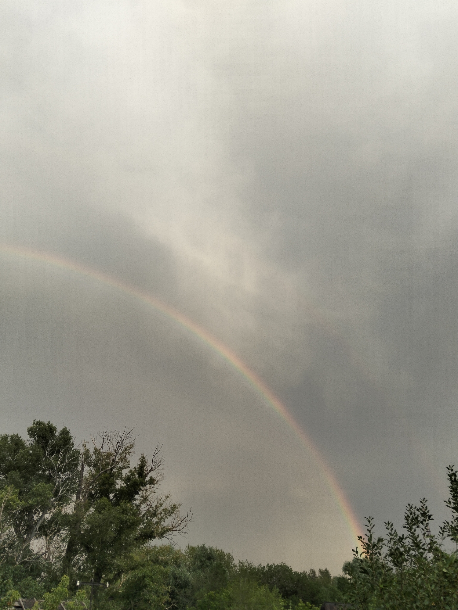 This media file is a vertical, medium-shot photograph capturing a natural phenomenon against a cloudy sky. The primary subject is a faint, double rainbow arcing across the upper portion of the frame. The sky is overcast with heavy, gray clouds that obscure the sun, suggesting a post-rain or stormy weather condition. The time of day is indeterminate due to the cloud cover, but the overall lighting is soft and diffused.
In the lower portion of the image, a dense line of green foliage from trees and bushes forms a natural foreground. The trees on the left appear mature, with some bare branches visible amongst the green leaves. The foliage is mostly in shadow, with a few highlights indicating diffused light.
The setting appears to be an outdoor, natural environment, possibly a park, a rural area, or the outskirts of a town. The presence of trees and the natural lighting suggest a location away from urban density. There are no people or specific man-made objects clearly visible, with the exception of what appear to be two small, light-colored posts peeking through the foliage on the far left, near the bottom.
The image evokes a sense of calm and natural beauty. The subdued colors and the presence of the rainbow, often associated with hope and good fortune, create a serene and slightly mystical atmosphere. The overall impression is of a fleeting moment of natural wonder observed under dramatic, yet peaceful, weather conditions. The location context is Semey, Kazakhstan. There is no visible text in the image.