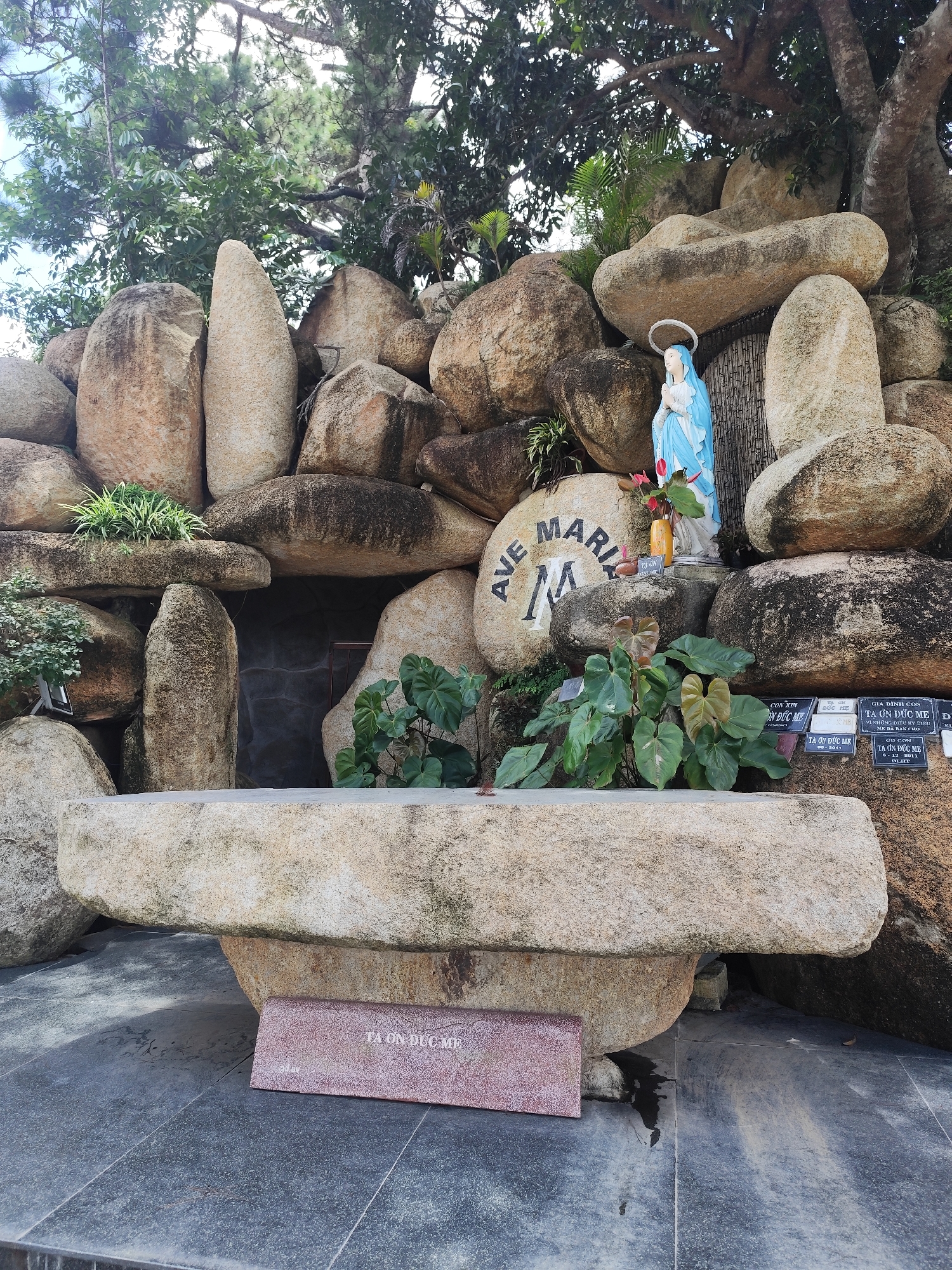 This image depicts a religious shrine located in Da Lat, Vietnam, likely at the Convent of Sao Mai. The shrine features a statue of the Virgin Mary, dressed in blue and white, with her hands clasped in prayer and a halo. She is positioned in a grotto-like setting, surrounded by large, natural boulders. The boulders are of various sizes and shapes, with some appearing worn and weathered, suggesting they have been there for a considerable time.
The inscription "AVE MARIA" is prominently carved into one of the larger stones near the statue. Several smaller plaques, presumably inscribed with prayers or dedications, are attached to the rocks at the base of the shrine. Lush green plants, including a leafy plant with red flowers and other smaller foliage, are strategically placed around the shrine, adding to the natural and serene atmosphere.
In front of the shrine, a large, roughly hewn stone bench or altar-like structure is positioned on a tiled surface. A smaller, rectangular red plaque with inscription is placed on the ground in front of this structure. The background shows a dense canopy of trees and branches, suggesting the shrine is situated in a somewhat secluded, natural environment. The overall impression is one of peace and reverence.