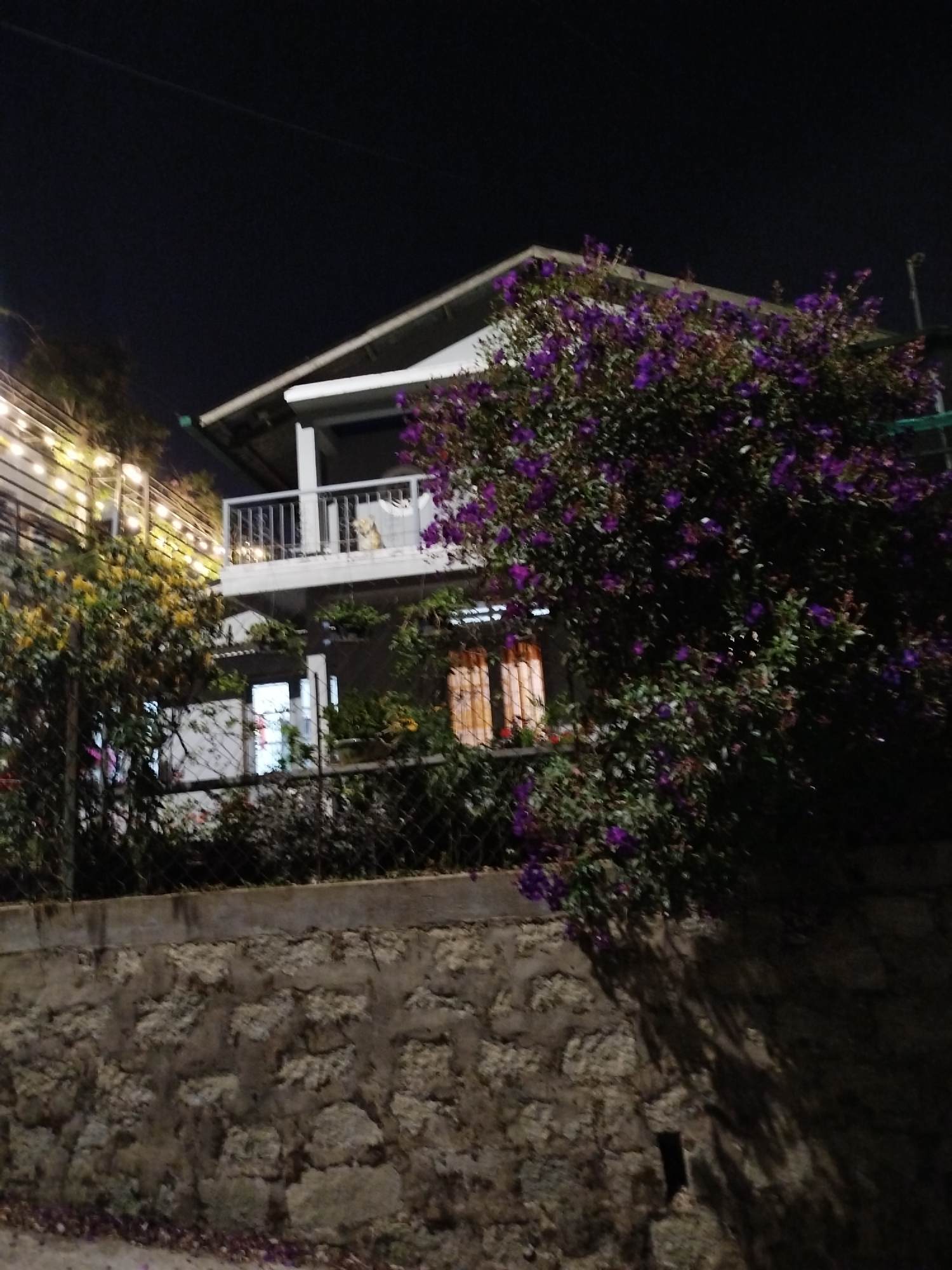 A two-story building with a balcony is partially visible behind a stone wall and vegetation at night. The building is white with a dark-colored roof. A wrought-iron balcony with a railing is on the second floor. A light shines from the window on the first floor. Strings of lights hang on the left side of the building. A large bush with purple flowers is on the right side of the building. The stone wall is in the foreground and is grey. The shadows fall on the wall from the right. The location is most likely in the city of Da Lat, Vietnam.