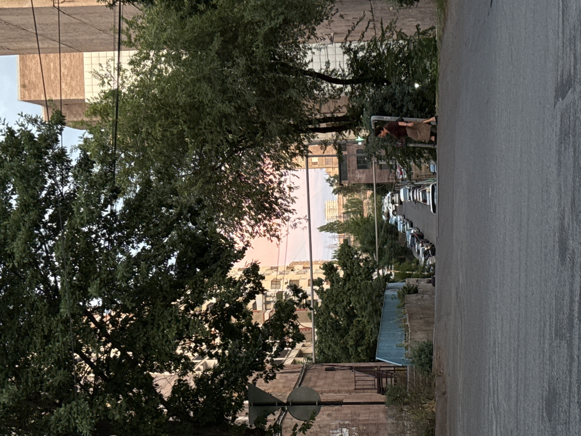 The image captures a residential street scene in Yerevan, Armenia, at twilight, characterized by soft pink and blue hues in the sky visible through a canopy of dense green foliage. The perspective is looking down a sloped asphalt road, which occupies the foreground and recedes into the distance.
On the left side of the foreground, a dark utility pole or signpost with a triangular top is partially visible. Behind it stands a multi-story building with a textured, faded brownish-pink facade, featuring an external black metal staircase. Below the staircase, a light blue corrugated metal fence or barrier runs horizontally. Green bushes and trees flank these structures.
On the right side of the midground, a woman is walking downhill on what appears to be a sidewalk or dirt shoulder. She has dark hair, wears a dark brown top, a light brown skirt, and carries a dark bag. Behind her, a large, leafy green tree with dark trunks is prominent. Further right, a substantial building displays a mix of light brown brickwork and lighter, possibly white or cream-colored, paneling. Utility lines crisscross in front of this building.
The street in the background is lined with numerous parked vehicles, predominantly light-colored cars, extending down the slope. Beyond the parked cars, the street is framed by various multi-story buildings, many featuring balconies and multiple windows, partially obscured by more green trees. The distant skyline is punctuated by additional buildings and dense greenery. The sky above the horizon exhibits a distinct pink-orange glow, indicative of either sunrise or sunset, blending into lighter blue and grey tones higher up. Large, dark green trees frame the top and upper sides of the image, their dense leaves creating a natural archway that partially obscures buildings on both the left and right.