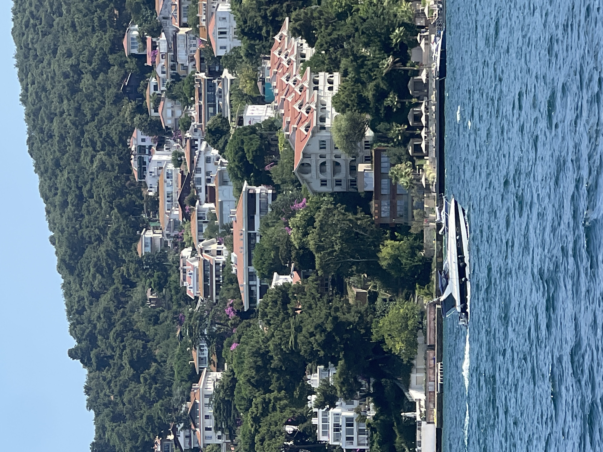 A scenic view of the Princes' Islands, Turkey, showcases a hillside adorned with lush green trees and numerous white houses with red-tiled roofs. The houses are clustered together, appearing to be residential structures, with some featuring balconies and multiple levels. The dense foliage of the trees covers the majority of the hillside, creating a striking contrast with the bright white of the houses. In the foreground, a motorboat with a dark hull and white superstructure cruises across the blue water, leaving a white wake behind it. The water appears somewhat choppy, indicating a breezy day. The sky above is a clear, bright blue, suggesting fair weather. The overall impression is of a tranquil, picturesque coastal scene.