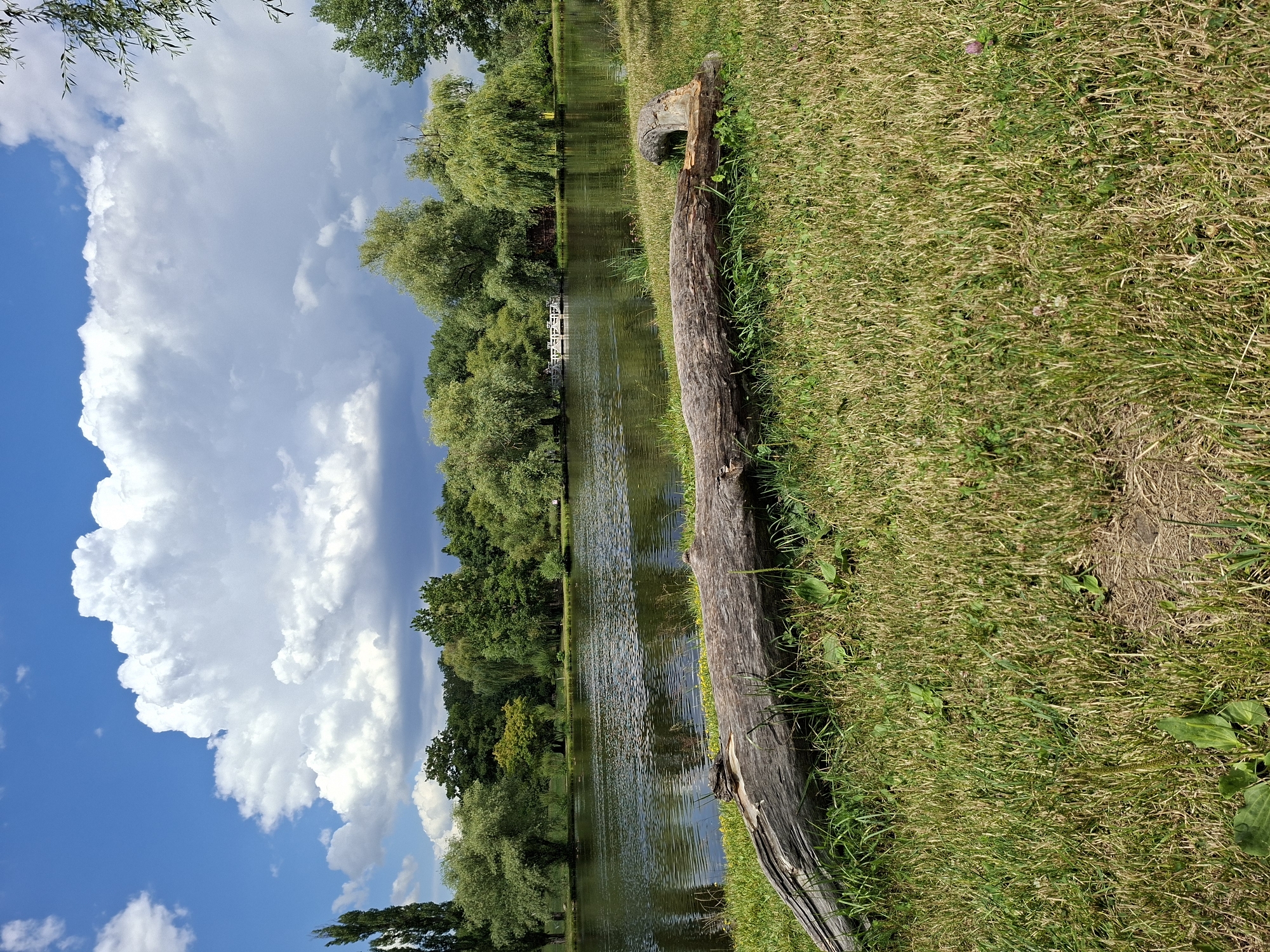 The image shows a natural scene with a body of water and trees. In the foreground, a large, weathered log rests on a grassy bank. The log is horizontal and appears to be old and decaying, with visible cracks and rough texture. The grass is a mix of green and dry blades, indicating it may be a warm season. Beyond the grassy bank is a calm body of water, reflecting the trees and the sky. The trees form a dense line along the far bank of the water, with various shades of green foliage. Some of the trees have a drooping or weeping appearance. In the distance, across the water, there is a white structure that resembles a bridge or pier, with some people visible on or near it. The sky above is blue with large, fluffy white clouds, some of which are quite dramatic and appear to be cumulonimbus clouds. The overall impression is a serene, natural landscape. Without additional information or context, it is impossible to determine the specific location within Chișinău, Moldova.