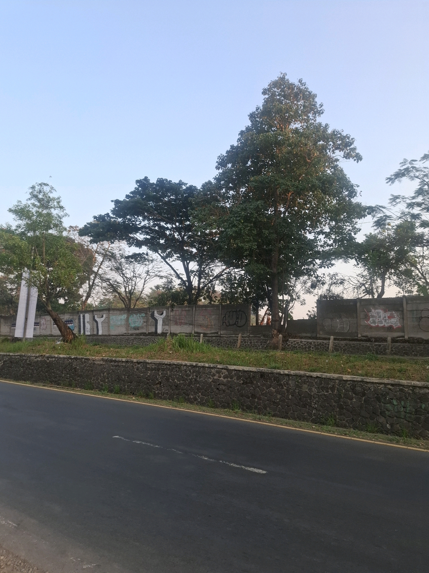The image captures a roadside scene in Sirnagalih, Indonesia, under a clear sky. A dark asphalt road occupies the foreground, with a slight sheen suggesting it might be damp. Along the road's edge, a low wall constructed of rough, dark stones forms a barrier, topped with a strip of green grass. Beyond the stone wall, a concrete barrier stretches horizontally across the frame, adorned with various graffiti tags and markings in different colors, some faded and others more vibrant. Several trees of varying sizes and foliage density are visible behind the concrete barrier, with some casting shadows. One tall, prominent tree stands out with lush green leaves. To the left, a tall, slender white structure, possibly a pillar or monument, leans slightly and is partially obscured by a tree with sparser foliage. The overall environment appears to be a somewhat urban or semi-urban area, possibly on the outskirts of Sirnagalih, given the presence of both infrastructure like the road and wall, and natural elements like the trees and sky.