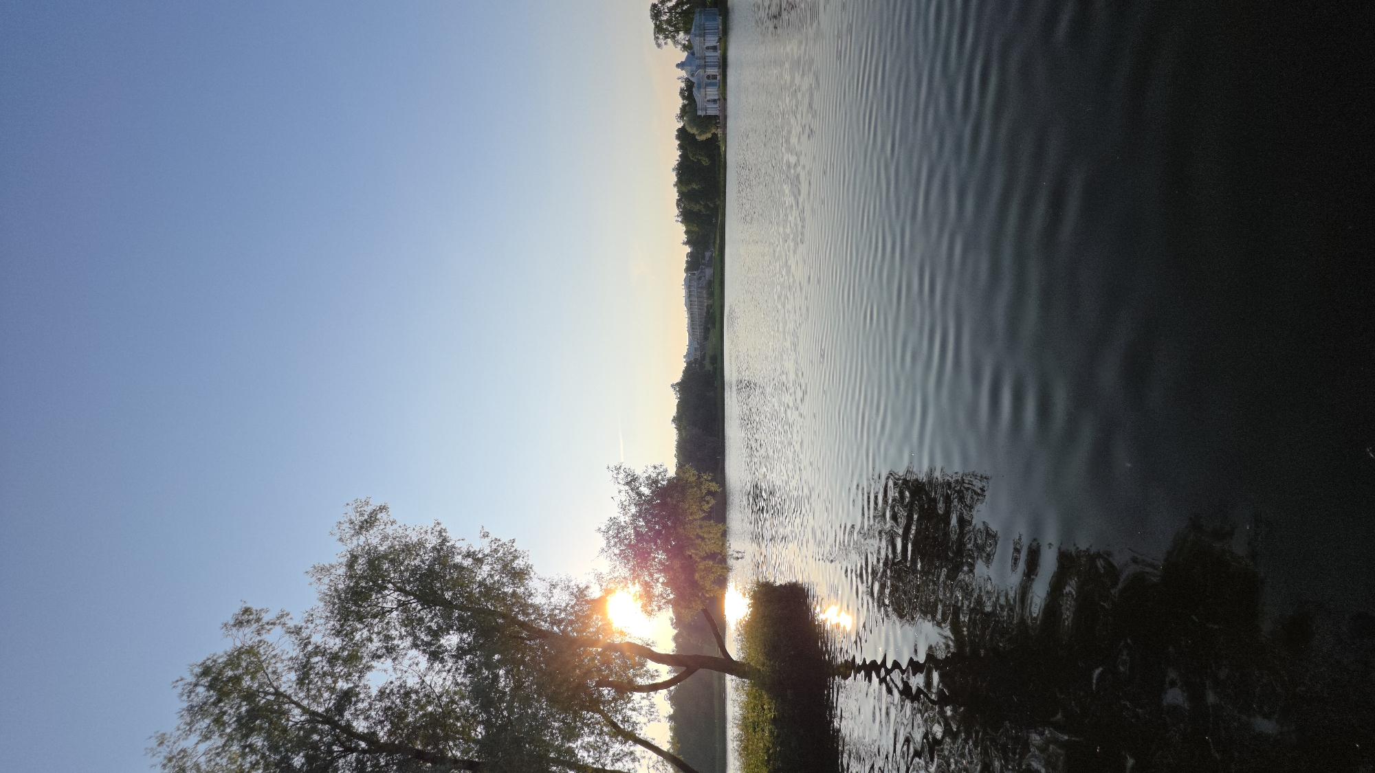 A serene, vertical landscape depicts a body of water at sunset. The sky is a clear, pale blue, transitioning to a softer yellow and orange hue near the horizon, suggesting the sun is low in the sky. On the left side of the image, a leafy tree with branches silhouetted against the bright sky is prominent. Sunlight filters through its leaves, creating a warm glow and reflecting on the water.
The water itself occupies the right side of the frame, with gentle ripples creating a textured surface that reflects the sky and surrounding landscape. The far bank of the water is lined with trees, creating a dark green band. Beyond the trees, a row of white buildings, possibly apartments or a hotel, are visible in the distance. The overall mood is peaceful and tranquil, evoking a sense of calm beauty as day transitions into evening. The scene appears to be in a natural setting with some man-made structures. There is no visible text in the image.