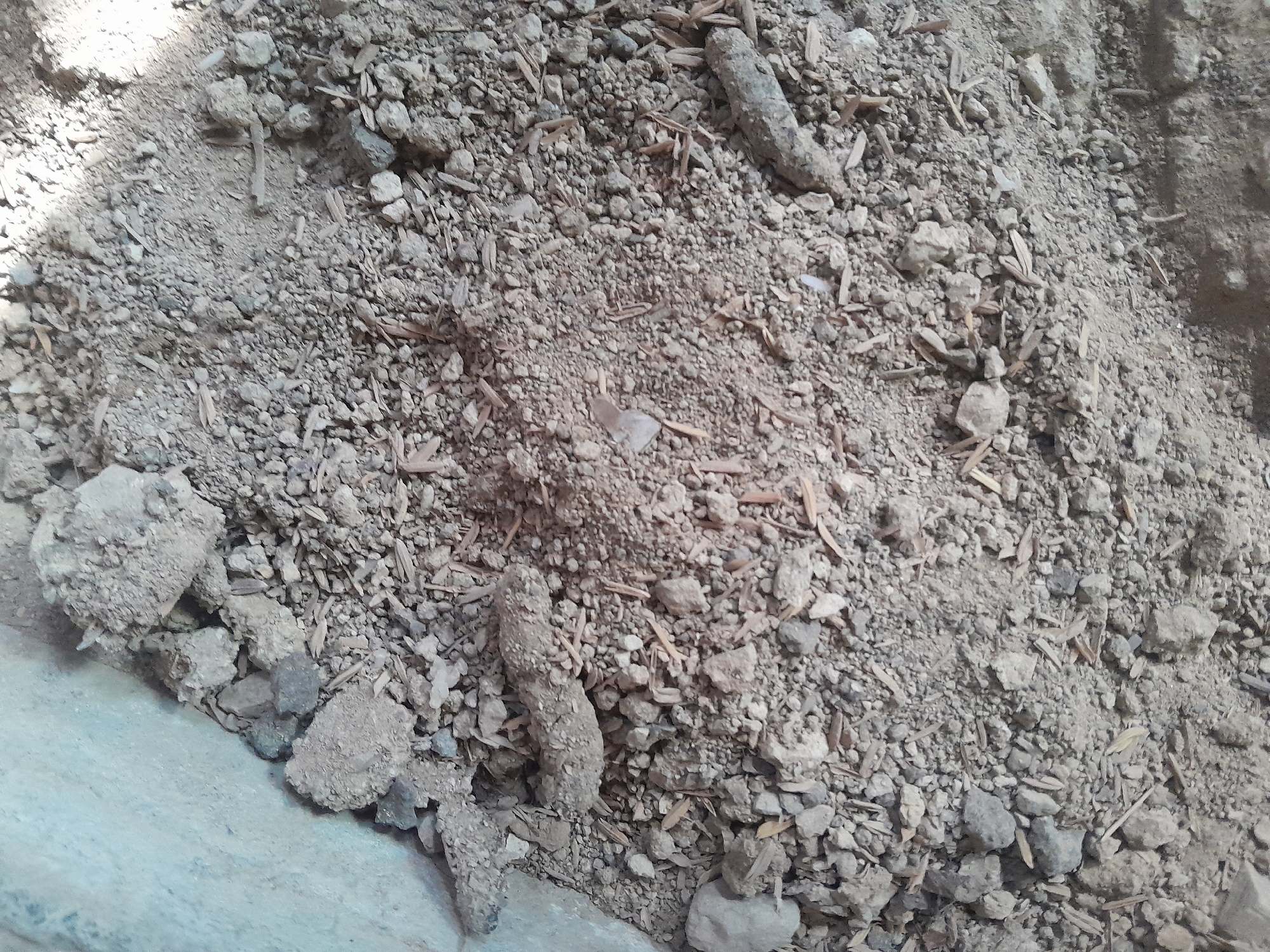 The image shows a pile of dirt and small stones, mixed with some light-colored debris, possibly rice husks or straw. The texture is rough and uneven. Some of the debris appears to be in elongated, lumpy pieces, possibly dried animal droppings or small clumps of mud. The lighting suggests an outdoor or dimly lit indoor environment. The image is taken from a top-down perspective.