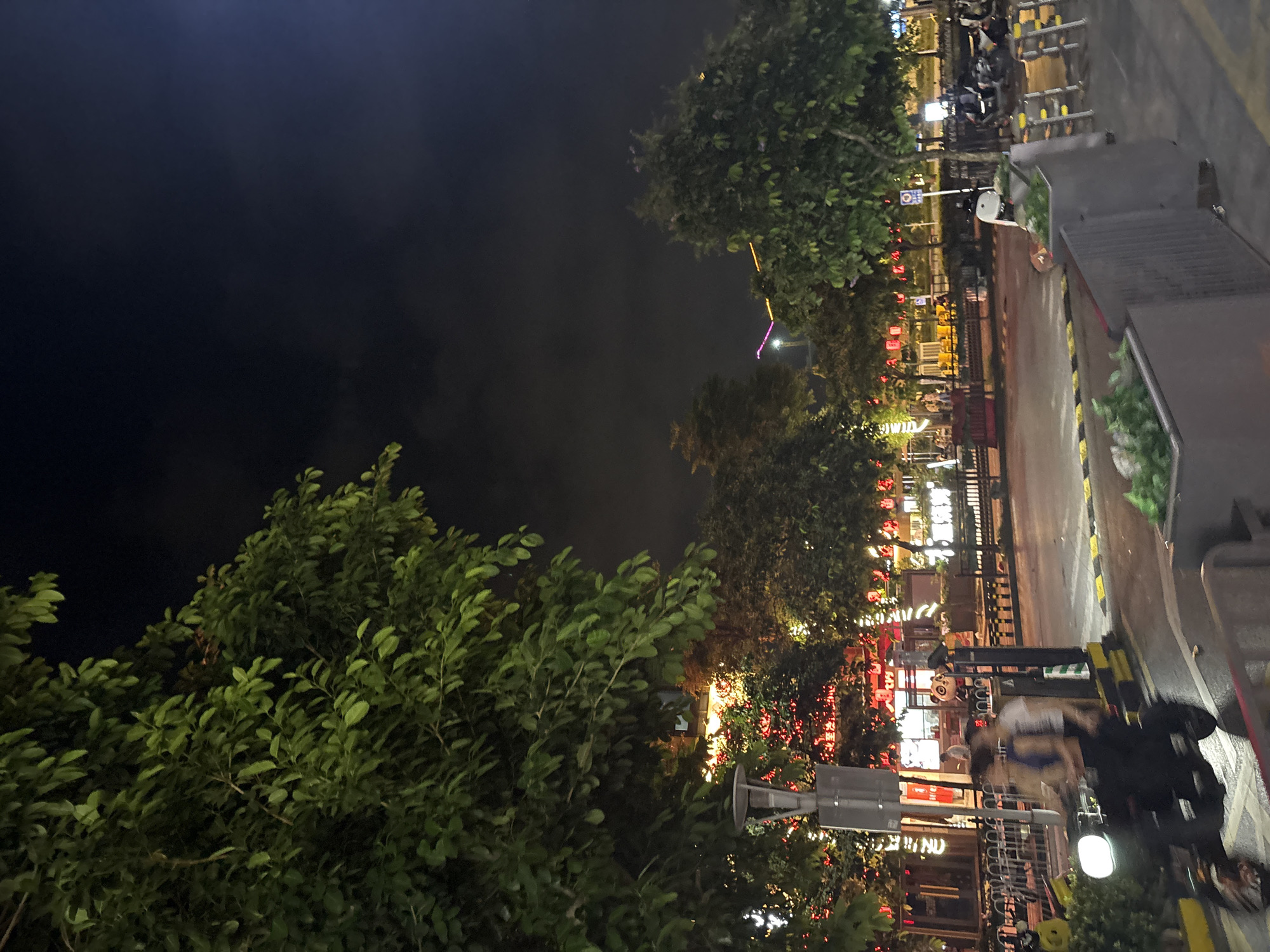 The image depicts an outdoor scene at night, likely a street or public area in Haizhu District, China. The foreground is dominated by lush green trees with dense foliage, obscuring some of the background. Beyond the trees, a street is visible, illuminated by artificial lights from buildings and street lamps.
Several objects are present. In the middle ground, there is a street with yellow and black striped barriers. A white traffic signal pole stands prominently. To the right, a dark gray structure, possibly a building or a large planter box, runs along the edge of the scene. Further down the street, there are racks for what appear to be rental electric scooters or bicycles.
There are a few people visible in the image, though their details are somewhat obscured. One person, wearing a white shirt and a dark lower garment, is riding a black electric scooter. They appear to be moving from right to left. Another person is partially visible behind them.
The scene is illuminated by various lights, including red lanterns hanging from some of the buildings, creating a festive atmosphere. Some buildings in the background show illuminated windows and signage. The overall ambiance suggests a lively urban environment at night. There is no clear indication of the weather, but the darkness implies it is night.
Visible text in the image is in Chinese. For example, characters are visible on some of the buildings and signs, such as "食" (shí, meaning food) on a red lantern. However, most of the text is too small or blurry to be clearly deciphered. The presence of Chinese text and the location context suggest the image was taken in China.